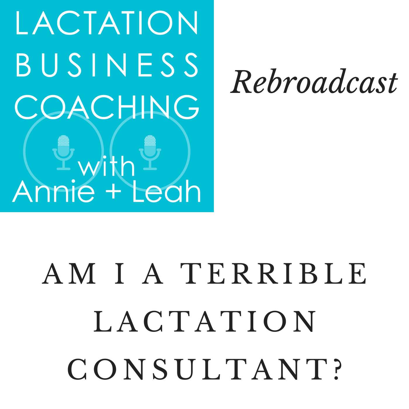 Rebroadcast | Am I a Terrible Lactation Consultant?