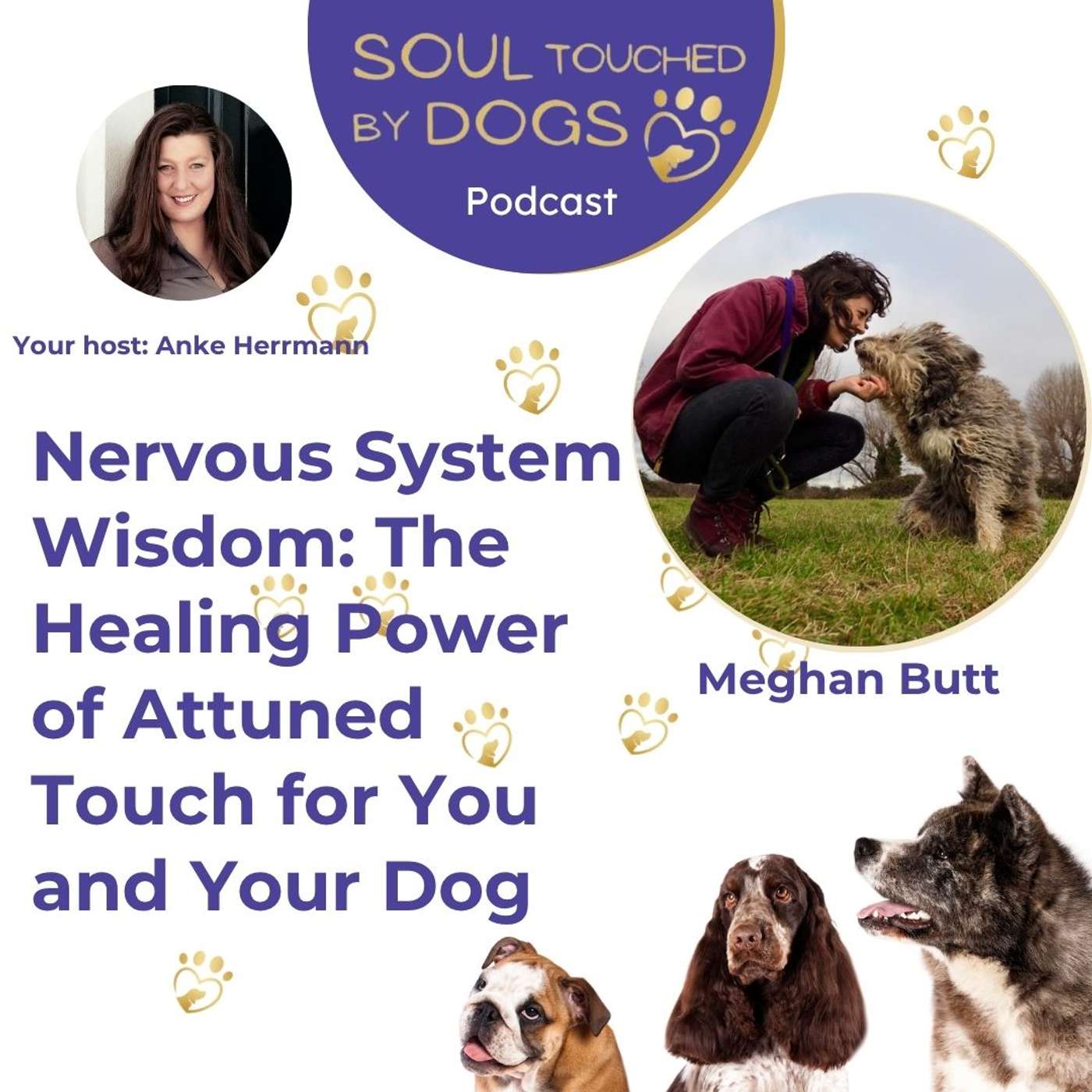 Meghan Butt - Nervous System Wisdom: The Healing Power of Attuned Touch for You and Your Dog