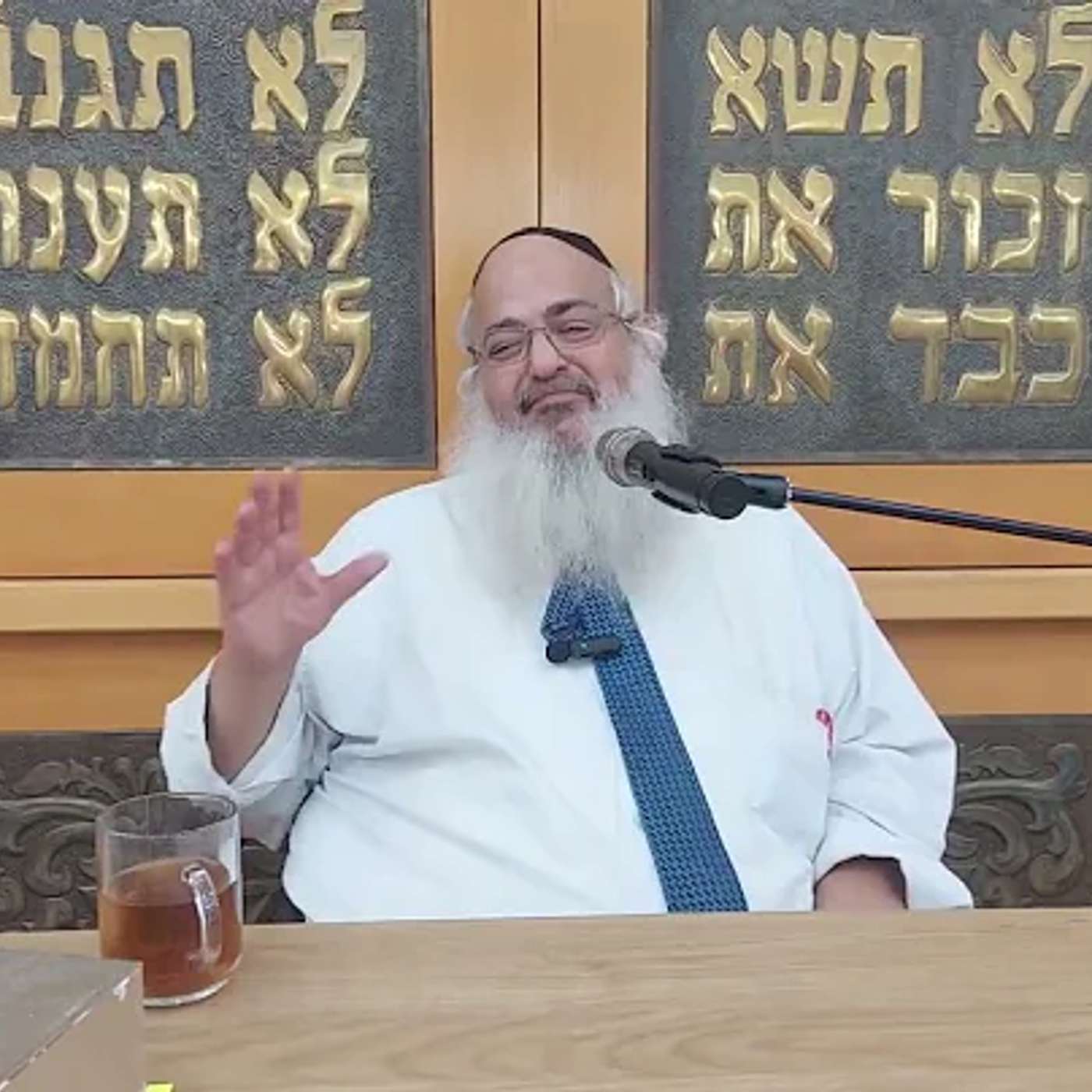 הרב שלמה לוינשטיין | פרשת כי תבא episode artwork