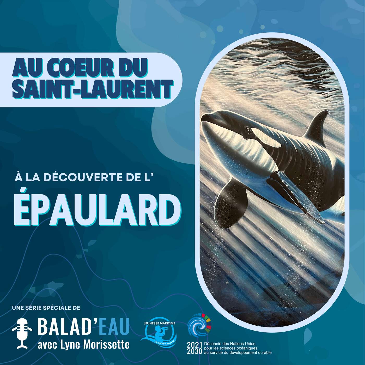 AU COEUR DU SAINT-LAURENT: à la découverte de l'ÉPAULARD