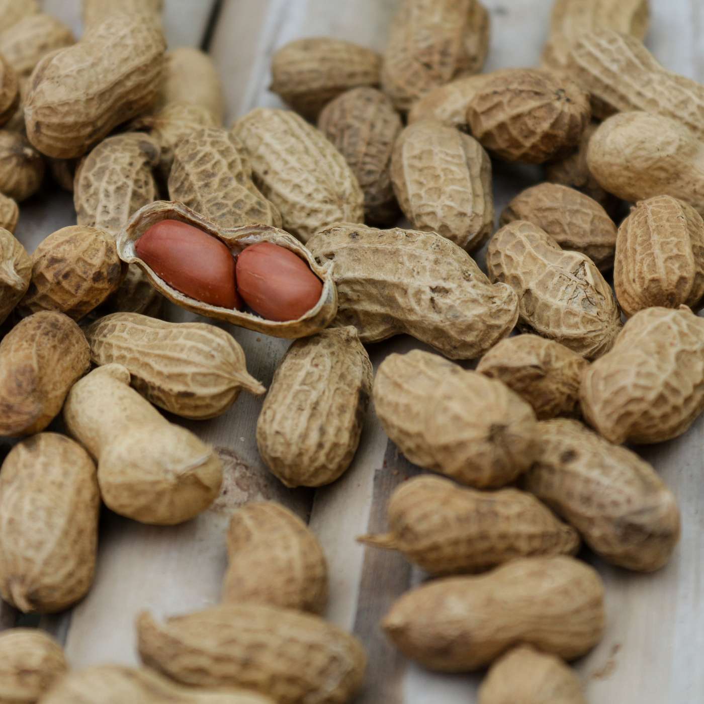 Do African Startup Pitch Competitions Offer Anything More Than Pre-allocated Peanuts?
