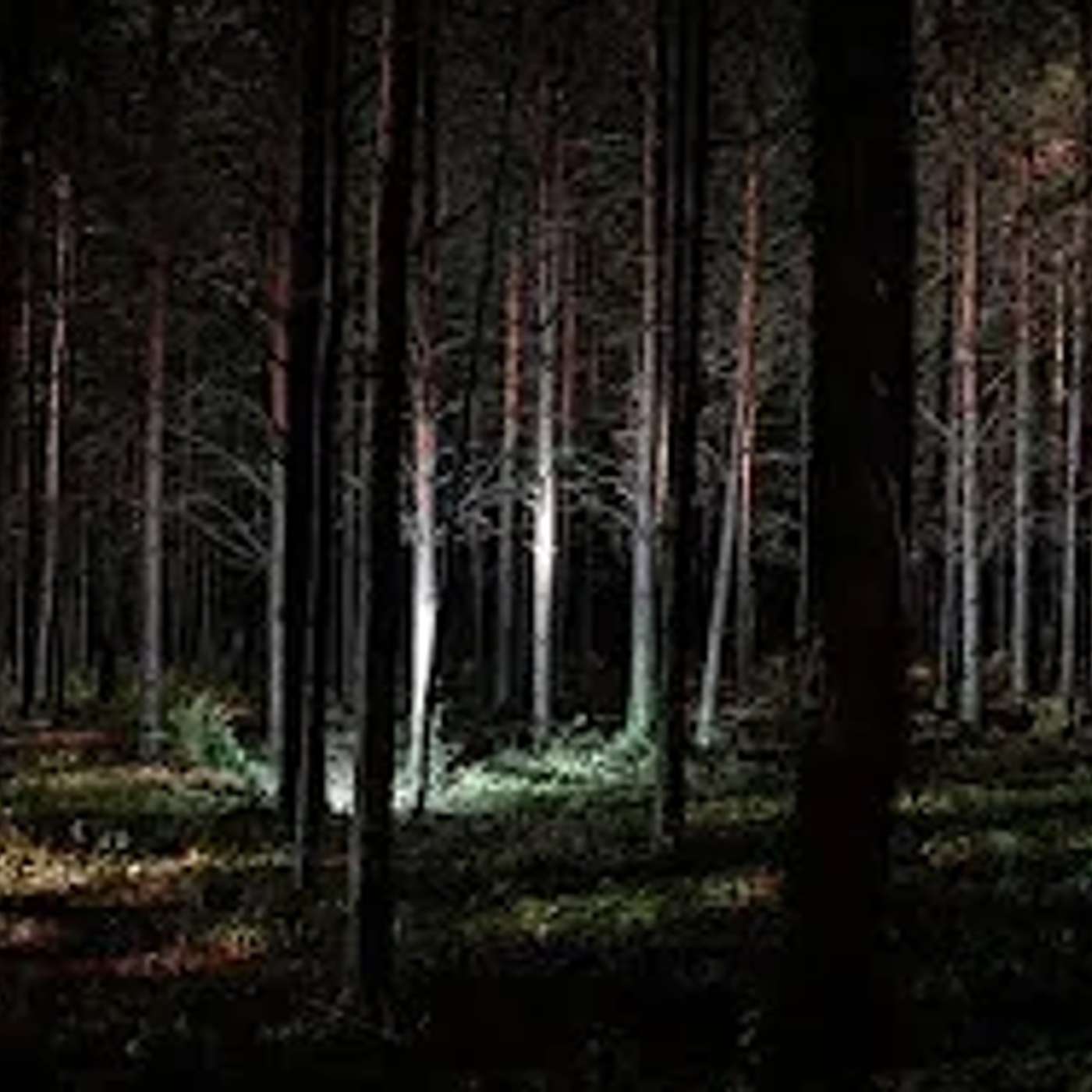 בין אור לחושך - מעט אור דוחה הרבה חושך ▪️ הרב נחמנסון ▪️ (ממעל ממש)***