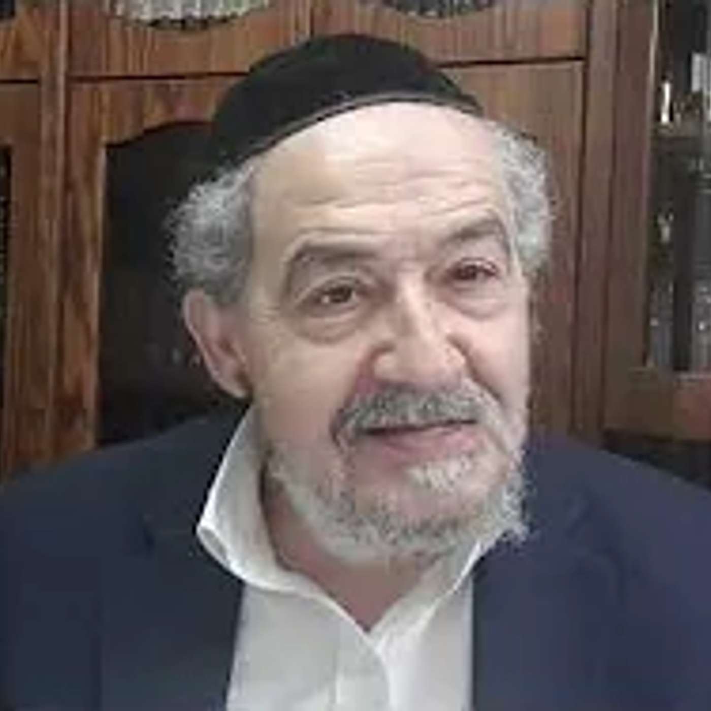 הגיגים לפרשת נשא תשפו בעברית