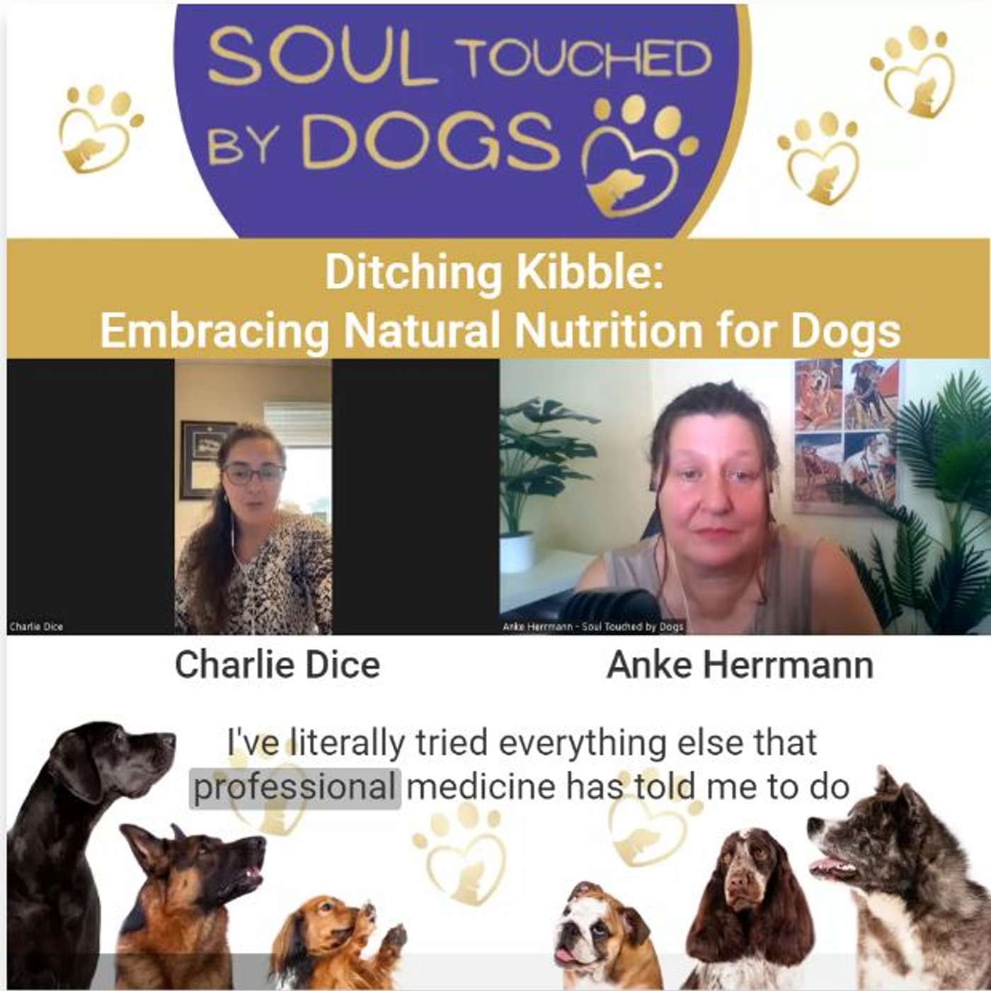 Charlie Dice - Ditching Kibble: Embracing Natural Nutrition for Dogs