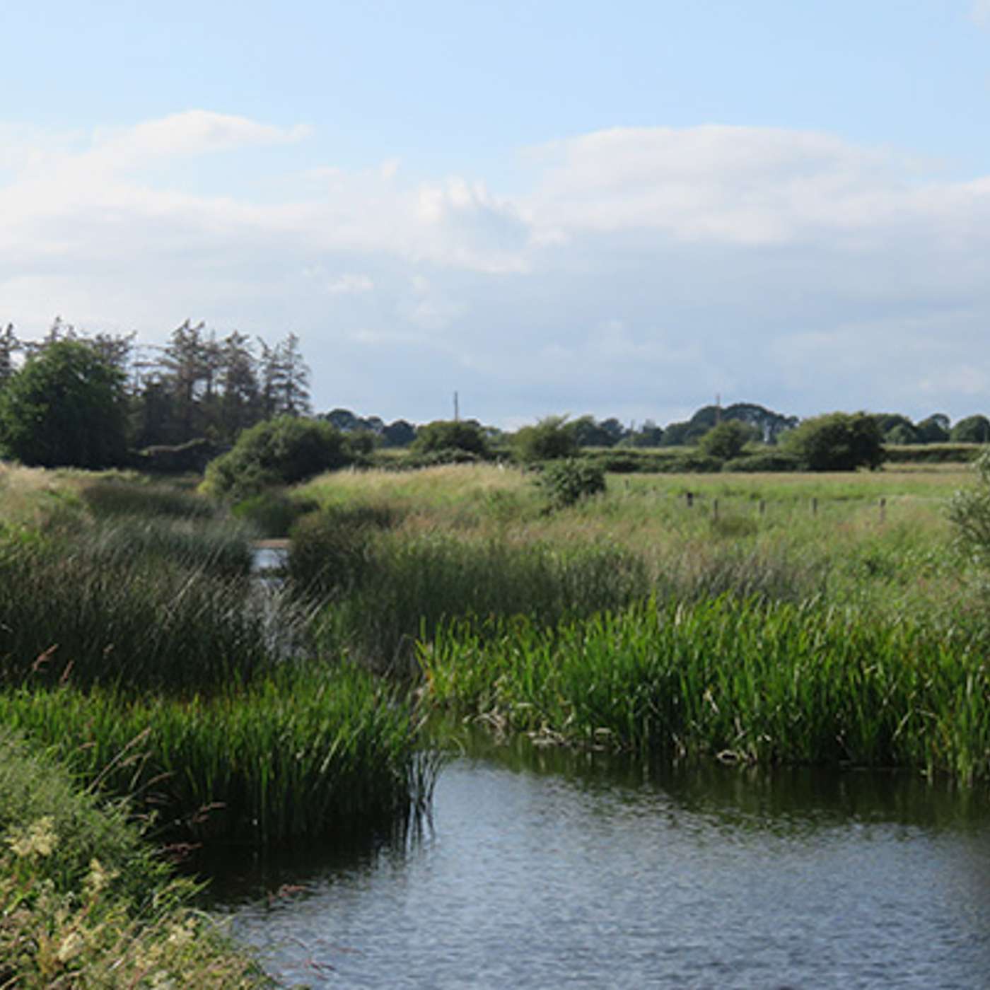 How ASSAP advisors are supporting farmers to improve water quality