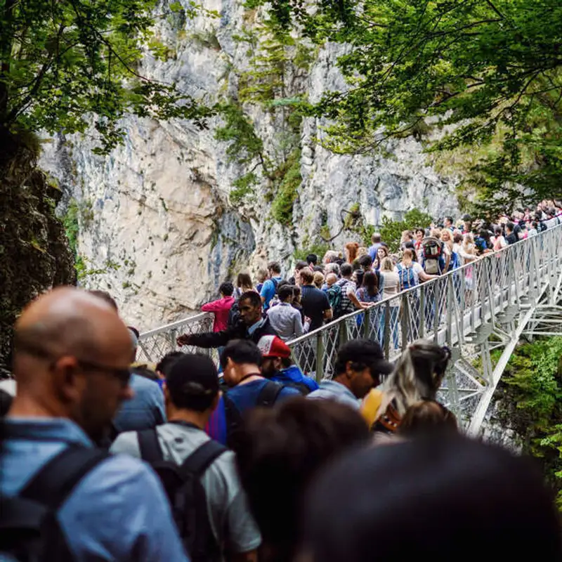 Would you rather e a importância no inglês!