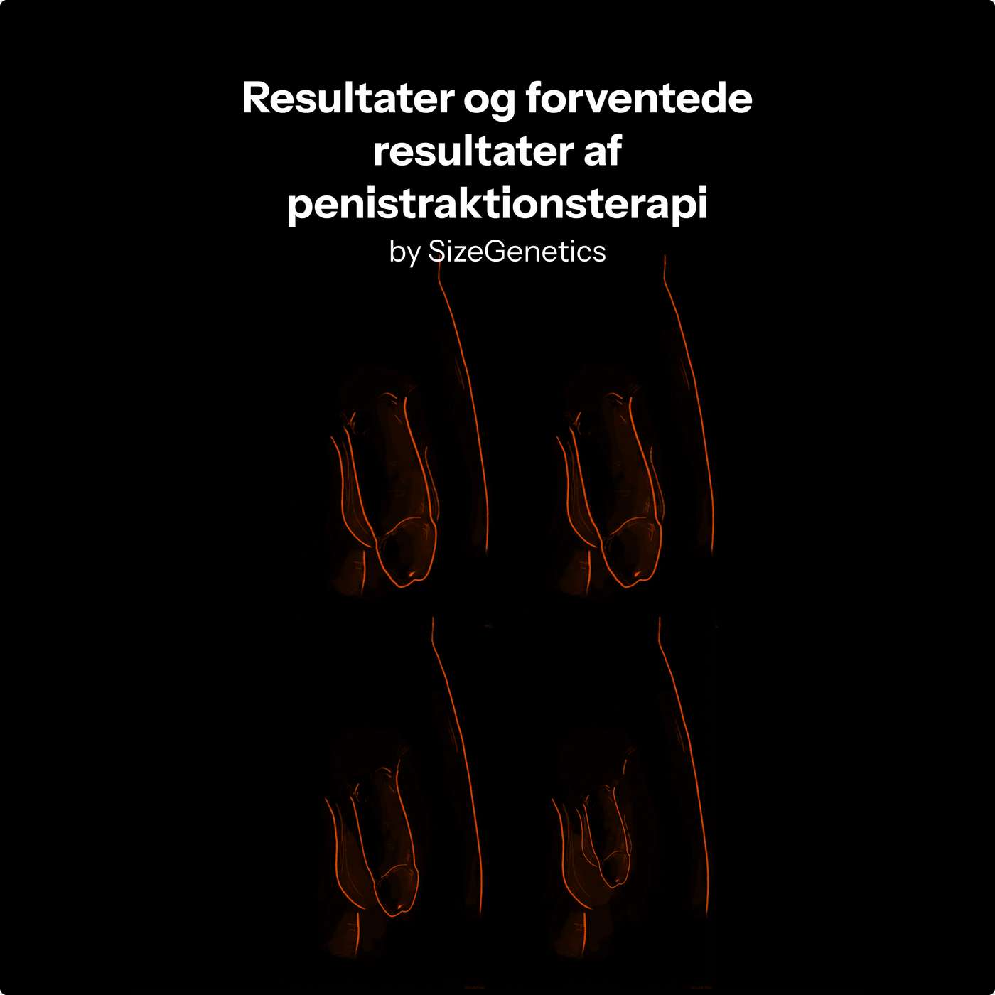 Resultater af penil traktionsterapi (15+ studier) | SizeGenetics episode artwork