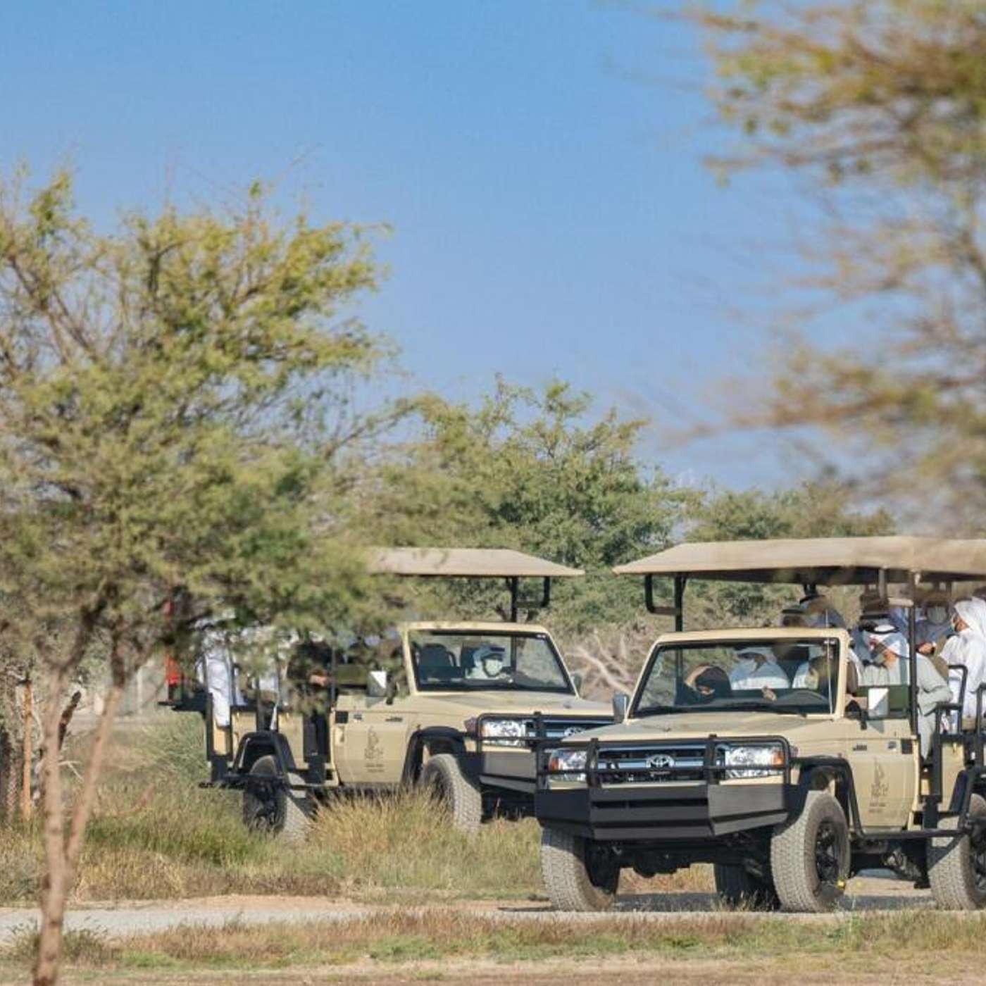 3rd Season Of Sharjah Safari Unveiled