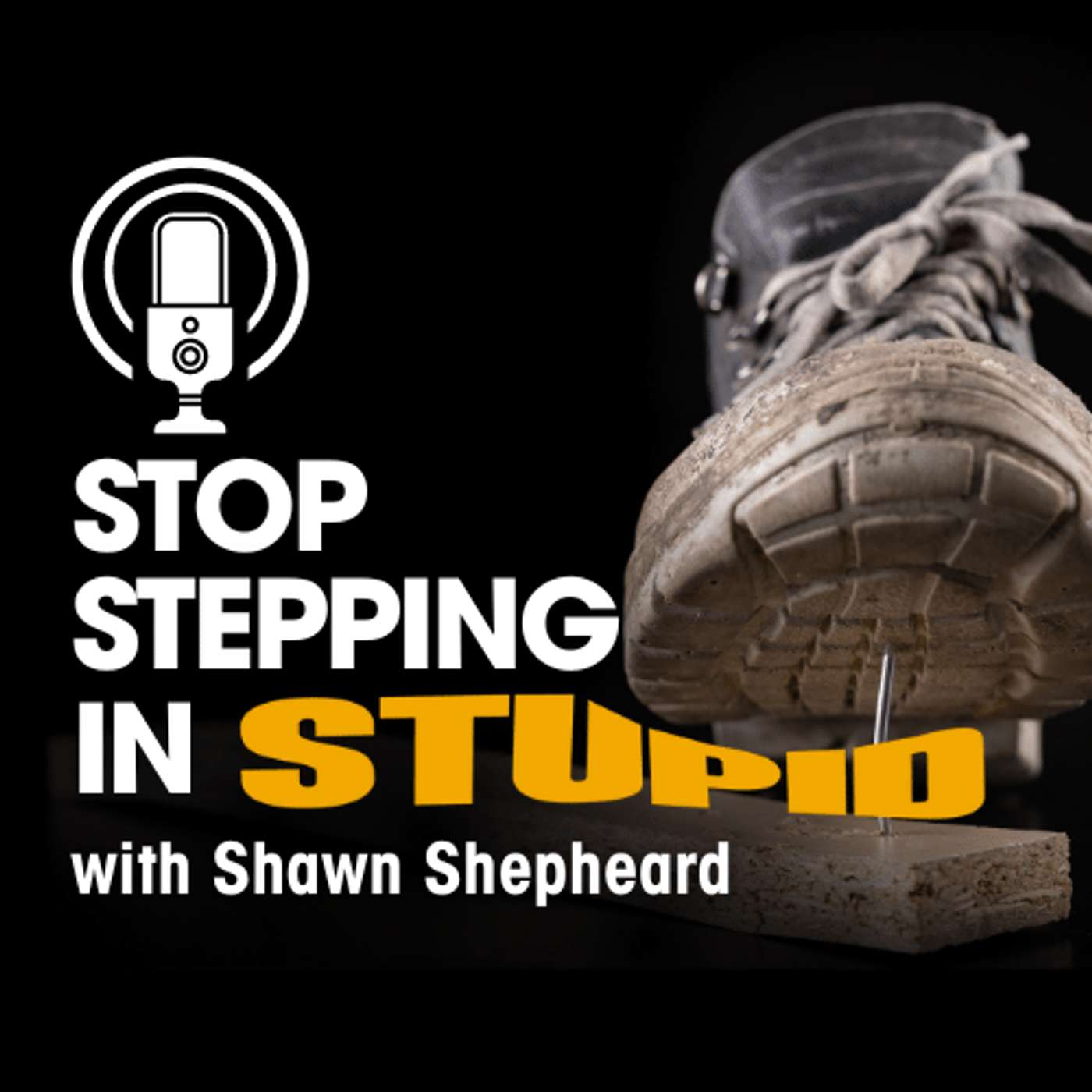 Unlocking Growth: 6 Strategies from Shawn's New Book "Stop Stepping in Stupid" episode artwork
