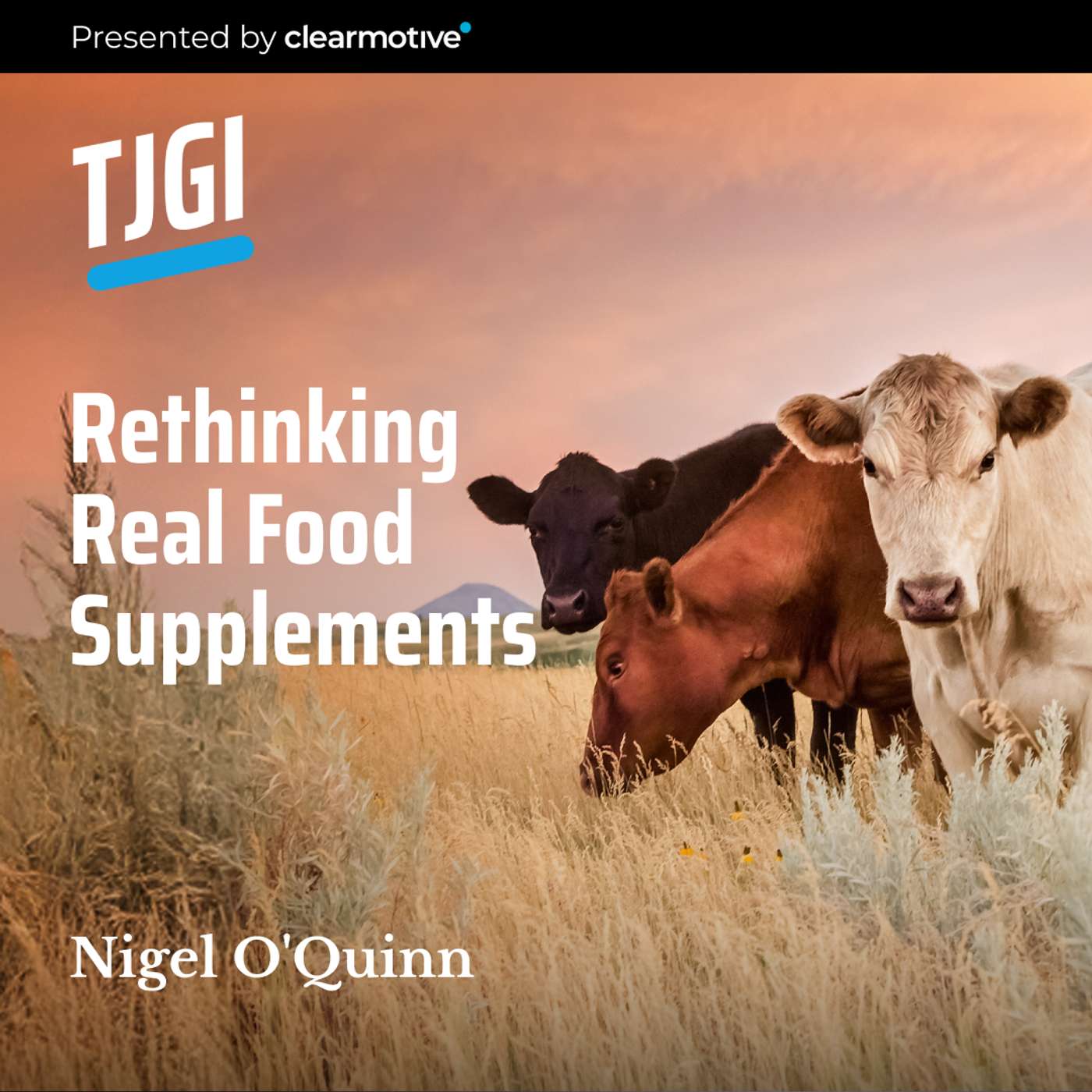 Nigel O'Quinn, Rethinking Real Food Supplements
