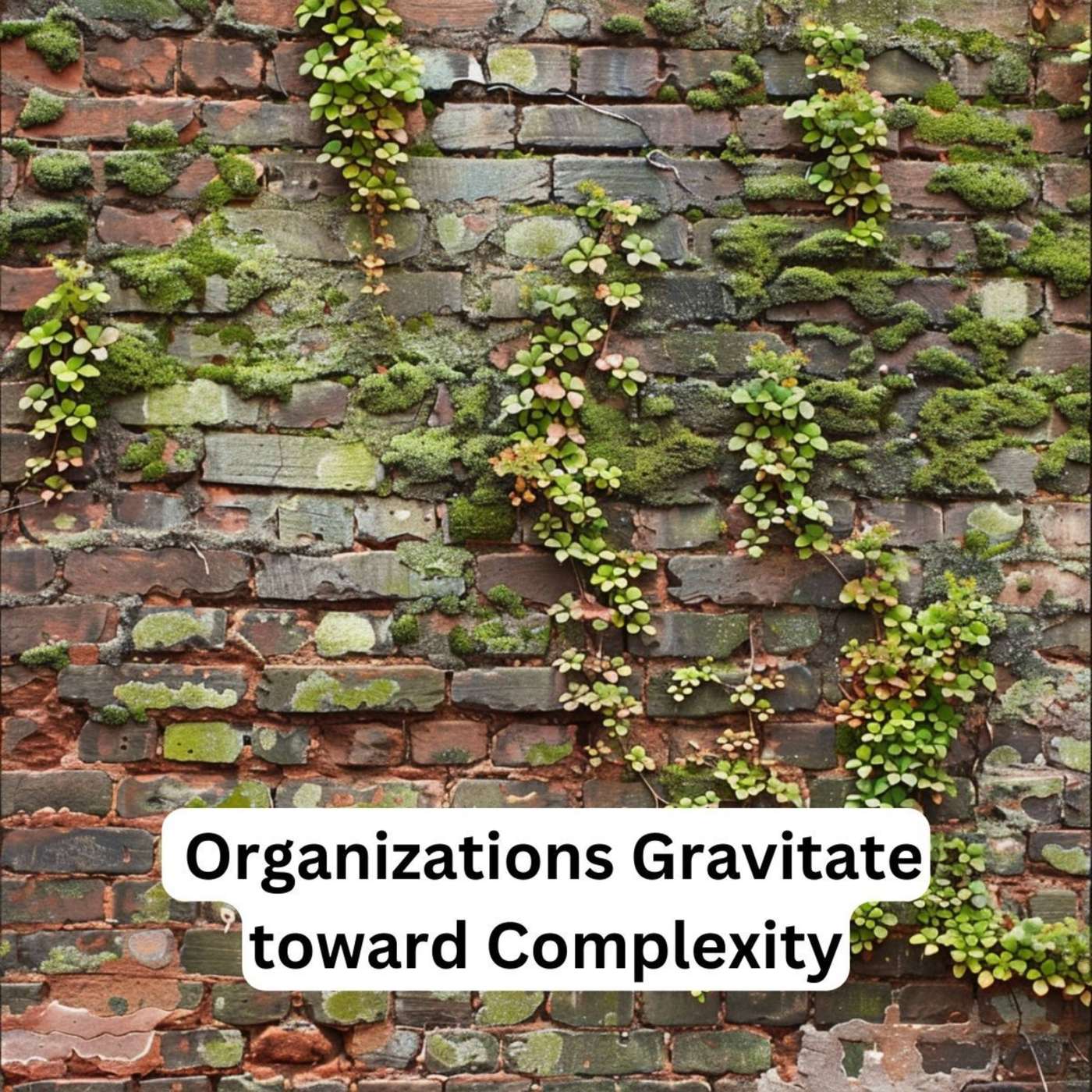 Day 288 – Organizations Gravitate toward Complexity episode artwork