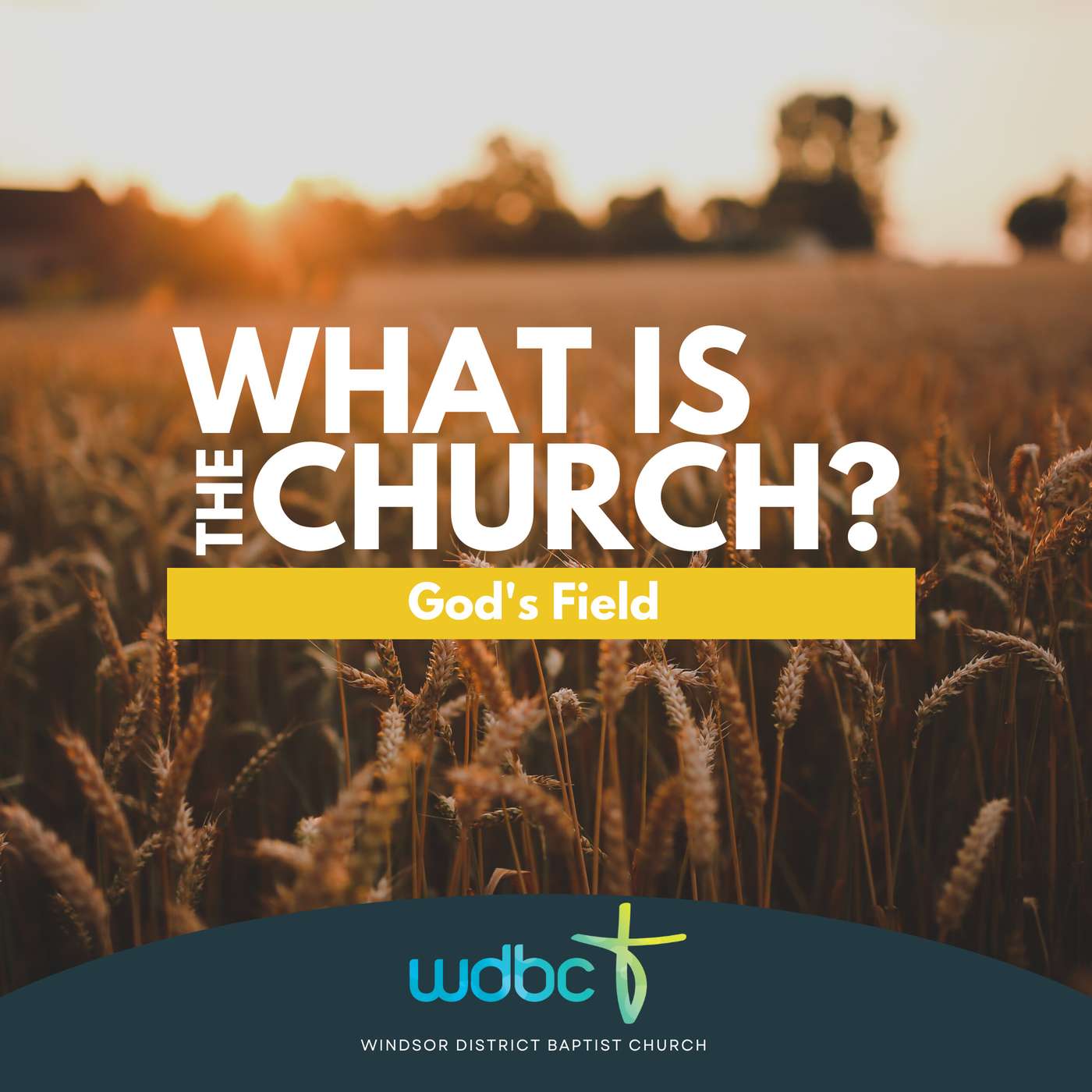 What is the Church? #04 | God's Field episode artwork