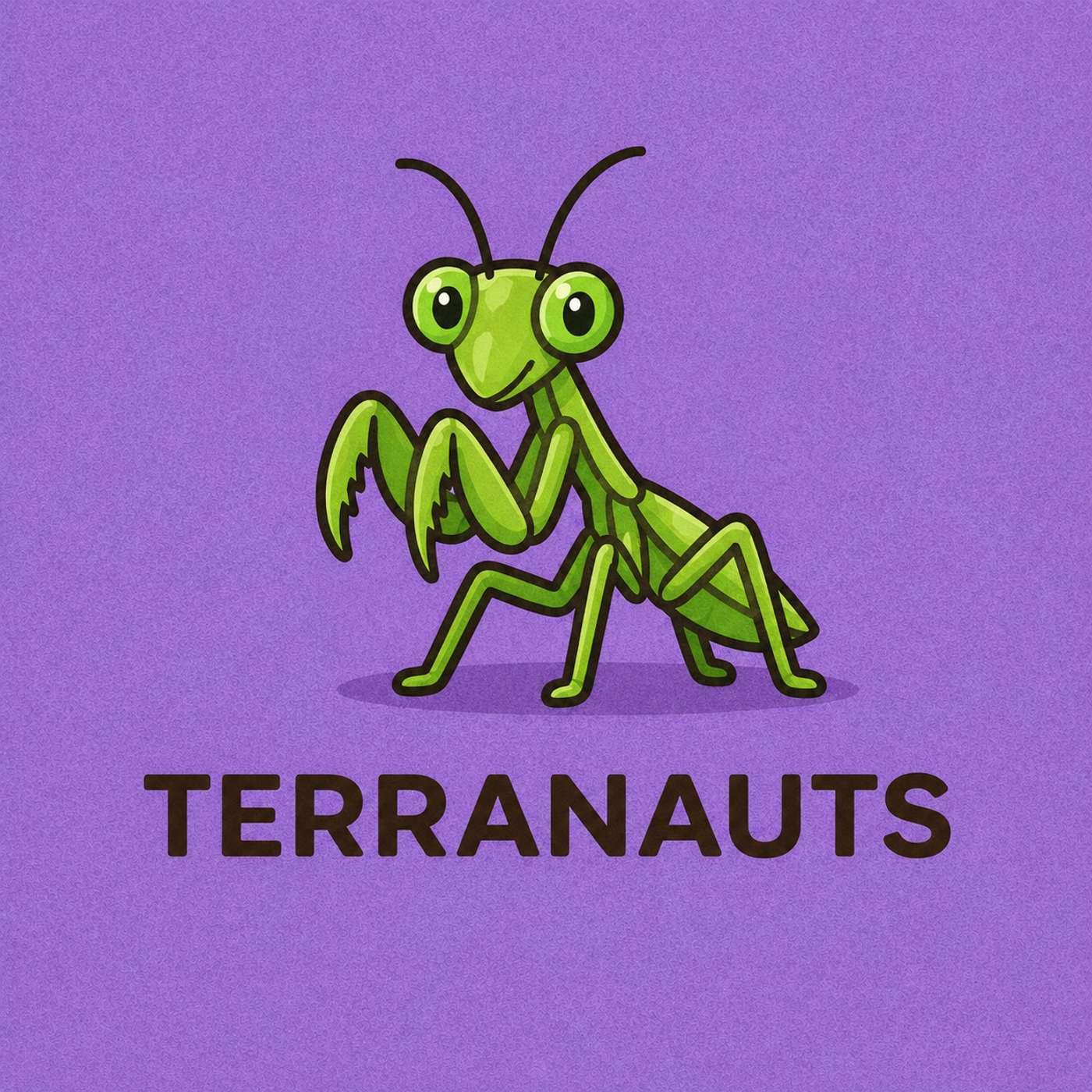 ¡Mantis religiosa!