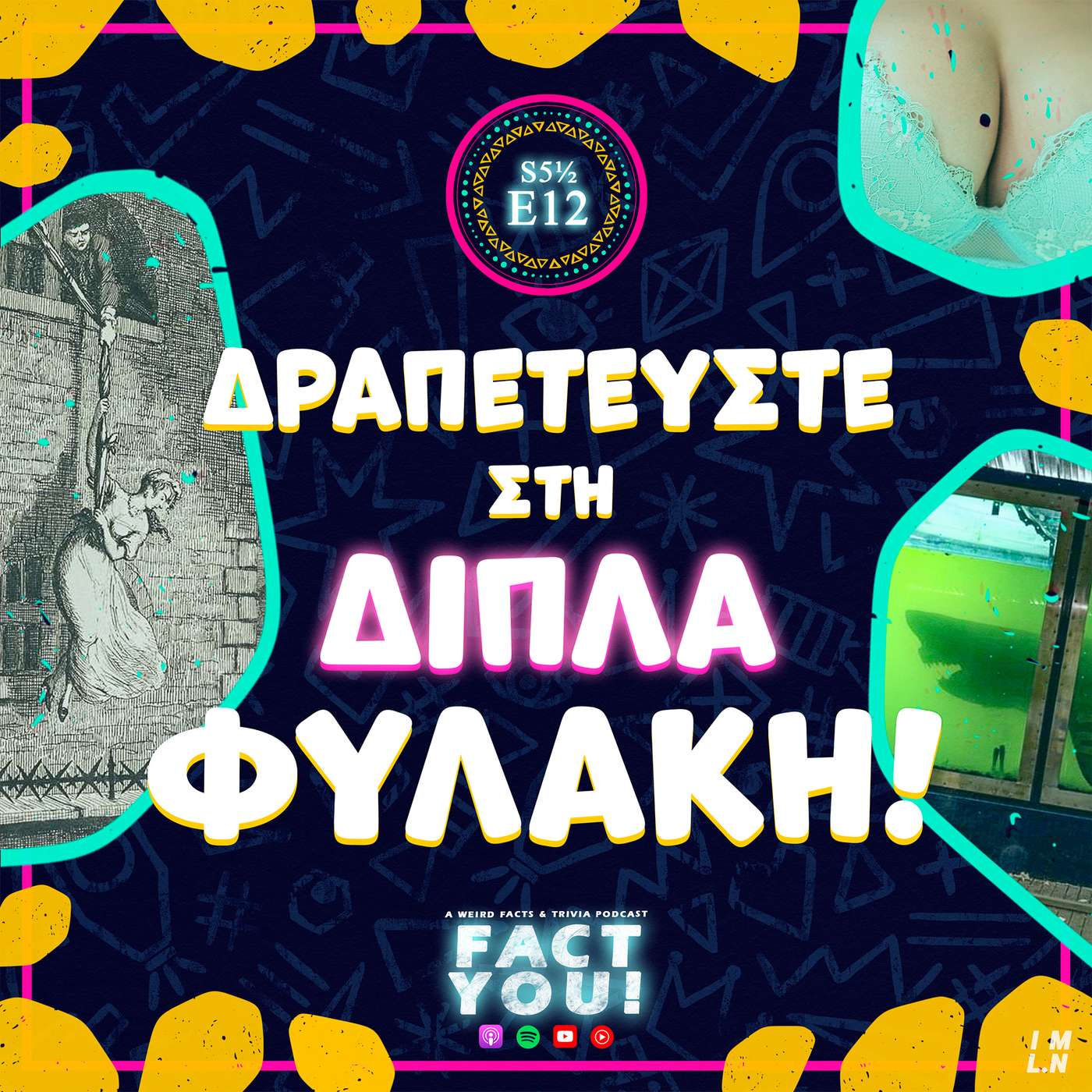Δραπετεύστε στη Δίπλα Φυλακή! | S5.5 E12 | FACT YOU! episode artwork