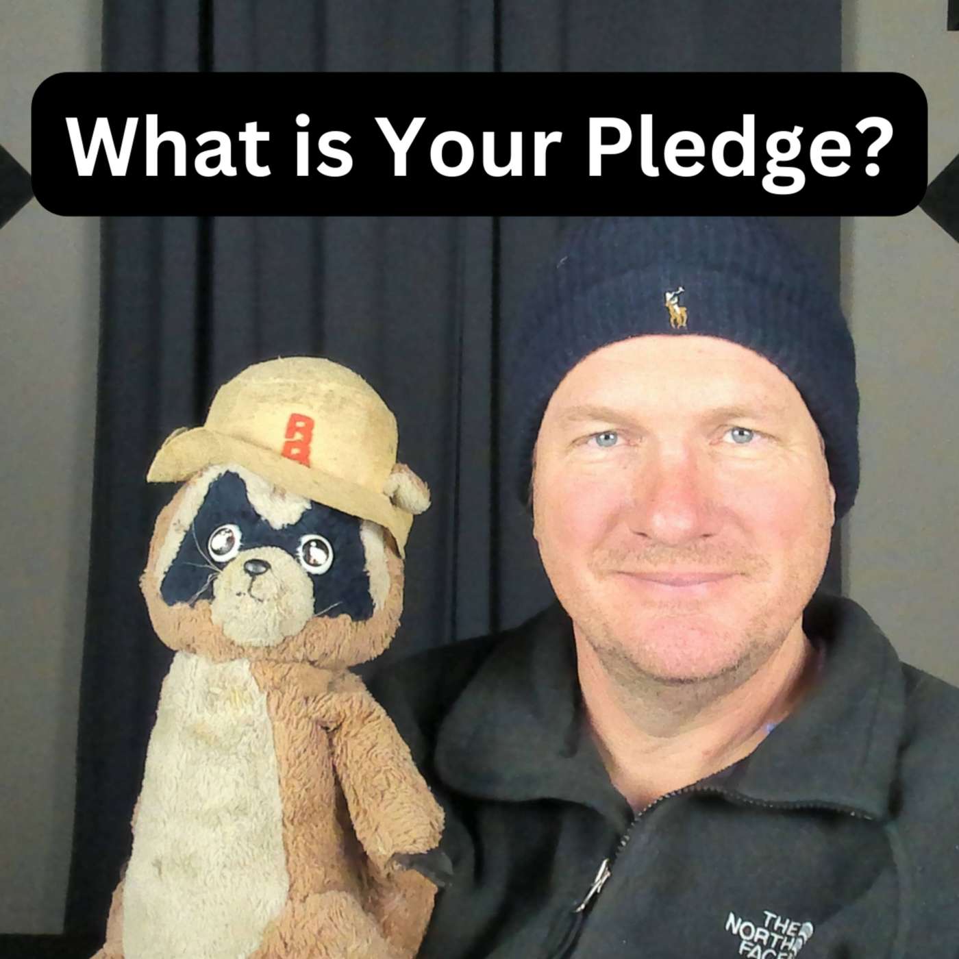 Day 180 - Do You Have A Pledge? episode artwork