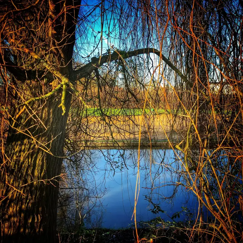 Widen your perception for answers come in many guises