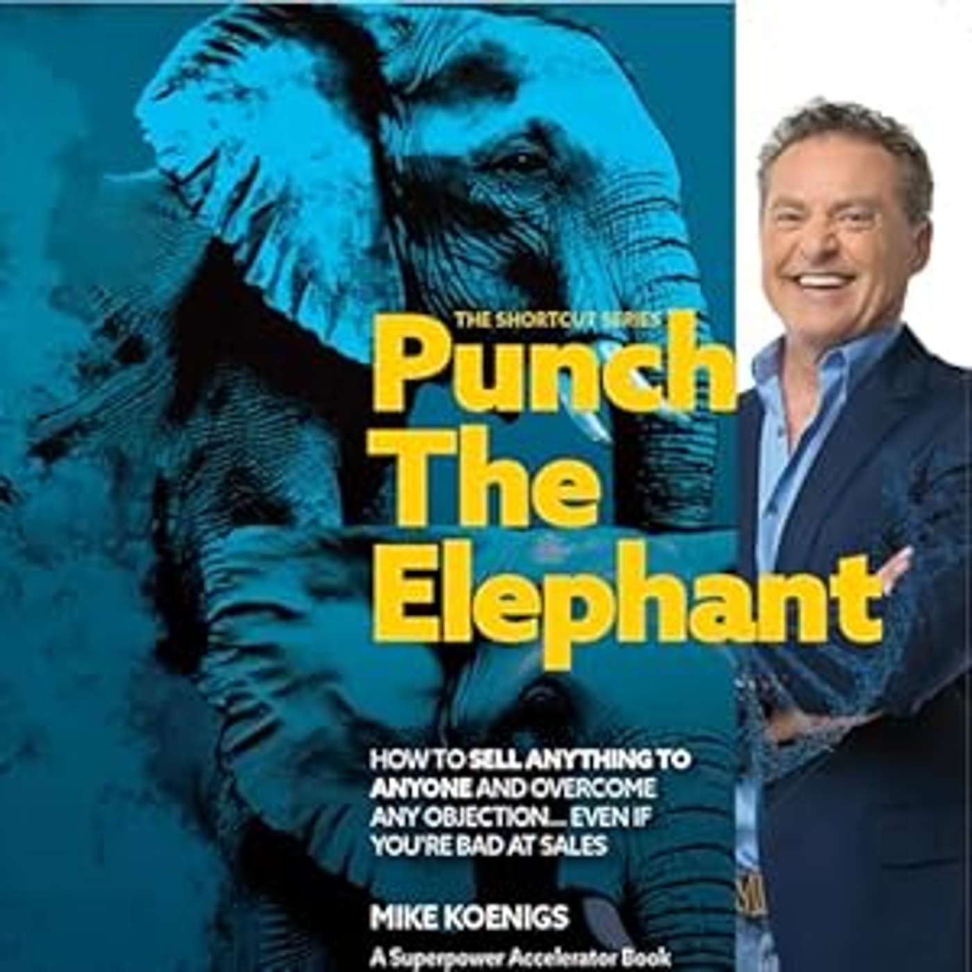 Punch The Elephant: How To Sell Anything To Anyone And Overcome Any Objection... Even If You're Bad At Sales