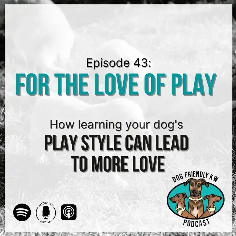 For the LOVE of PLAY: Learning Your Dog's Play Style Can Lead to More Love