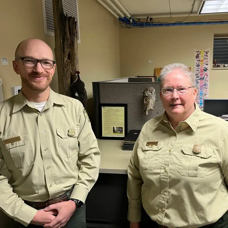 Forest Service Payments For Land In The BWCA