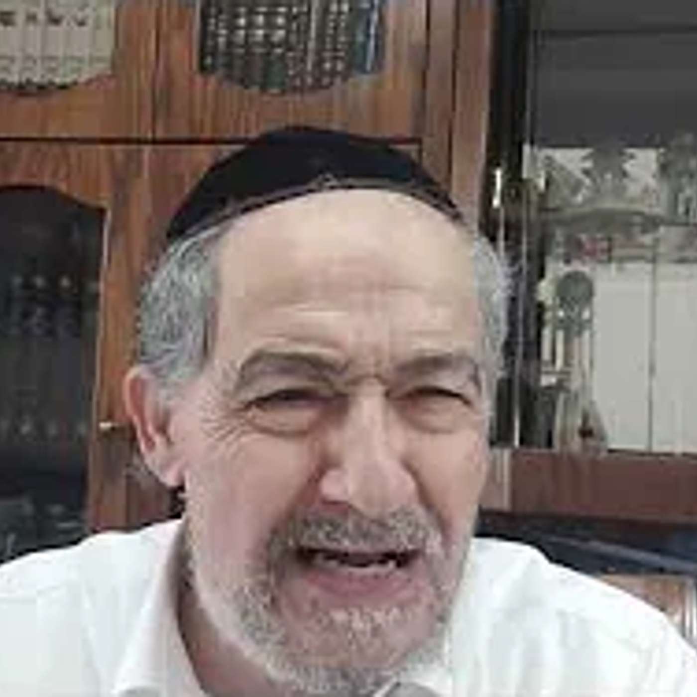 הגיגים לפרשת אמור תשפו בעברית