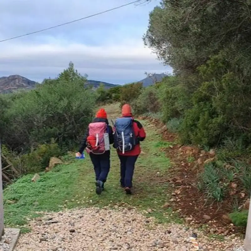 The smell of naphtha