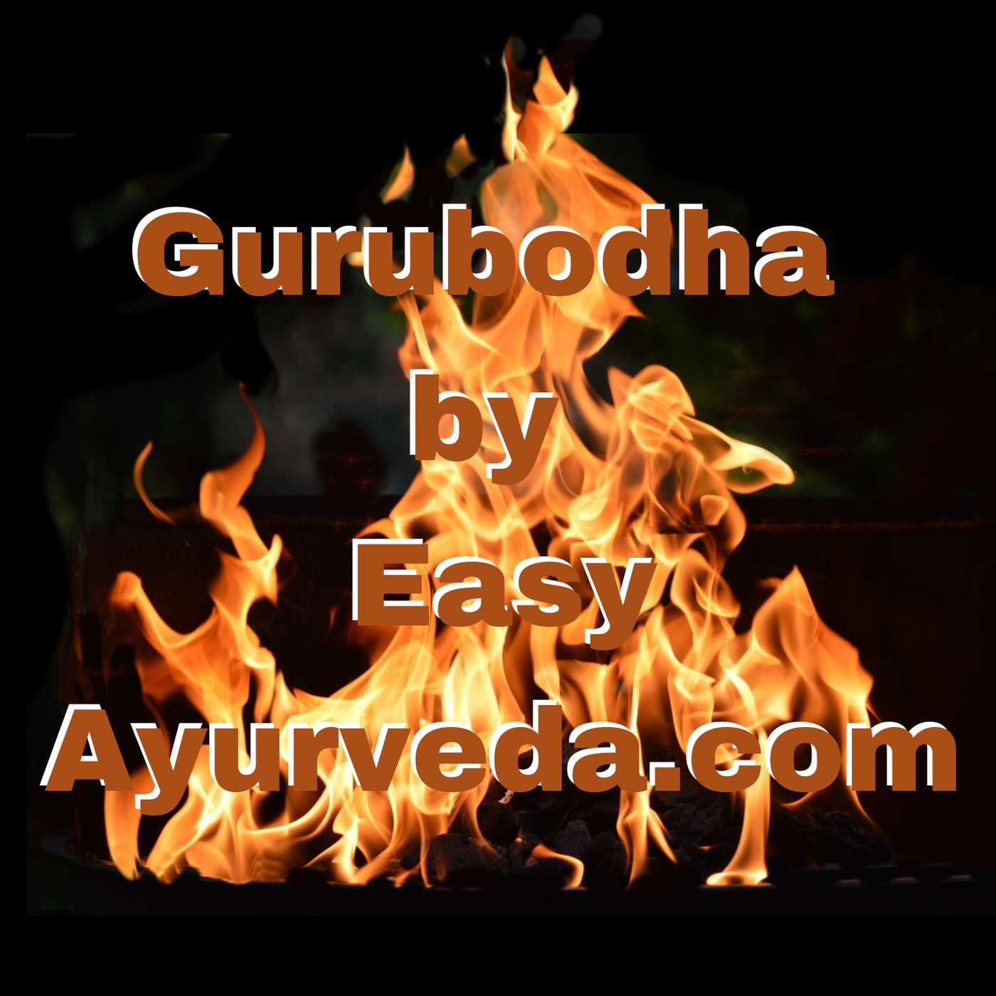 Gurubodha 47: Role of Ayurvedic Organizations | Workout to Boost Agni | Triphala for Hypertension? episode artwork