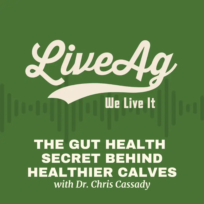 The Gut Health Secret Behind Healthier Calves with Dr. Chris Cassady