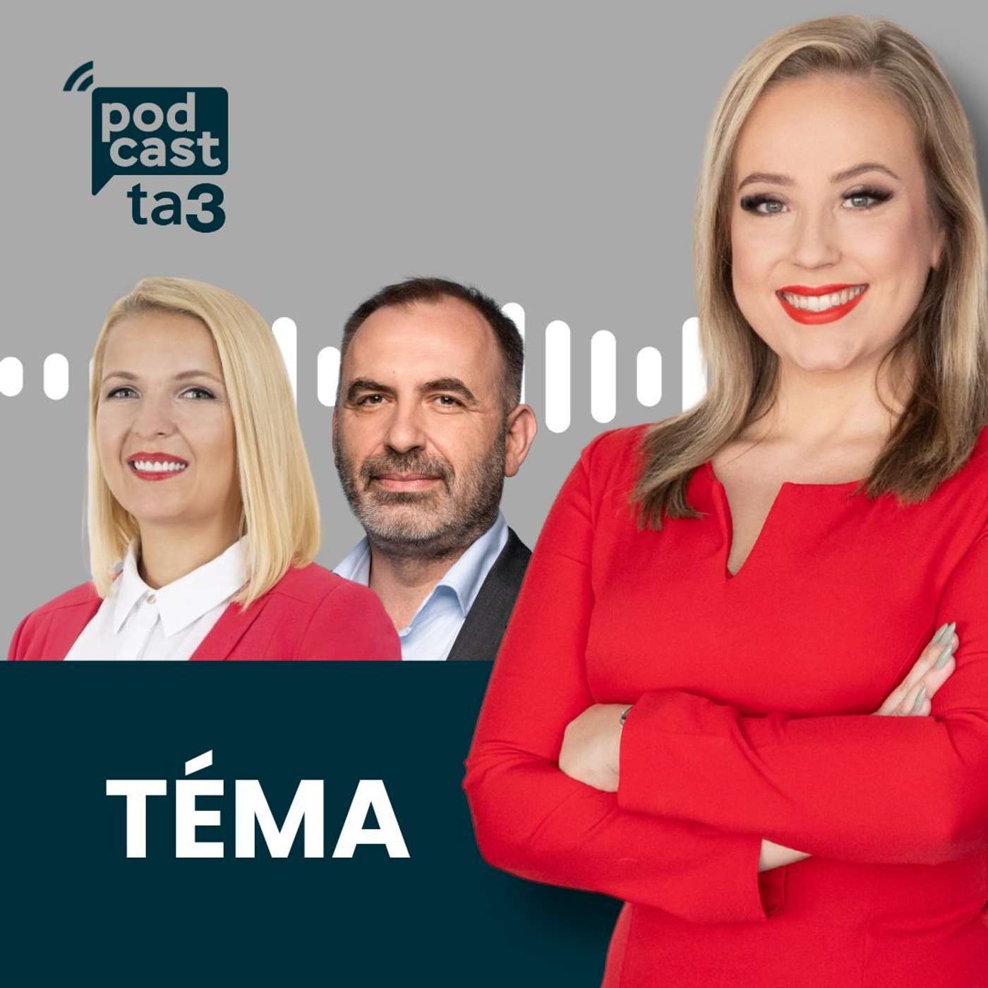 Téma: Zuzana Plevíková vs. Ivan Štefunko Téma: Zuzana Plevíková vs. Ivan Štefunko