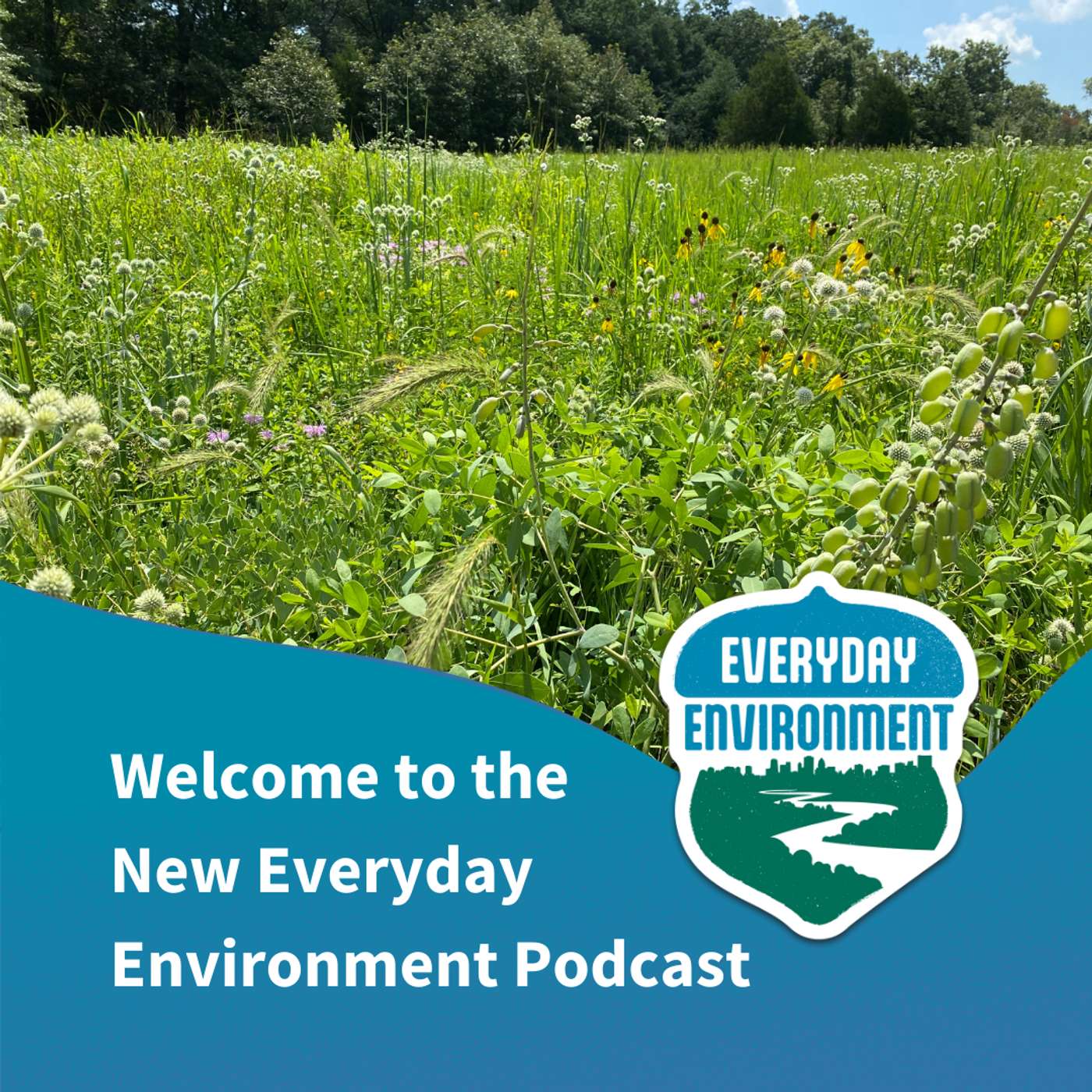 Welcome to the New Everyday Environment Podcast!