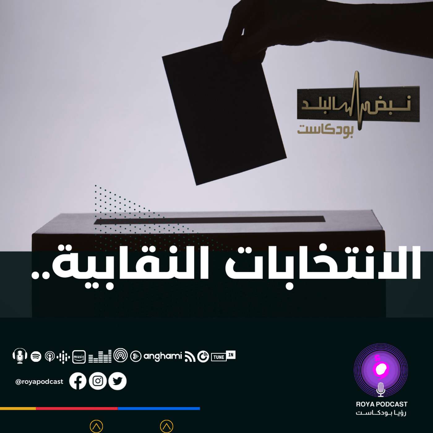 الانتخابات النقابية..