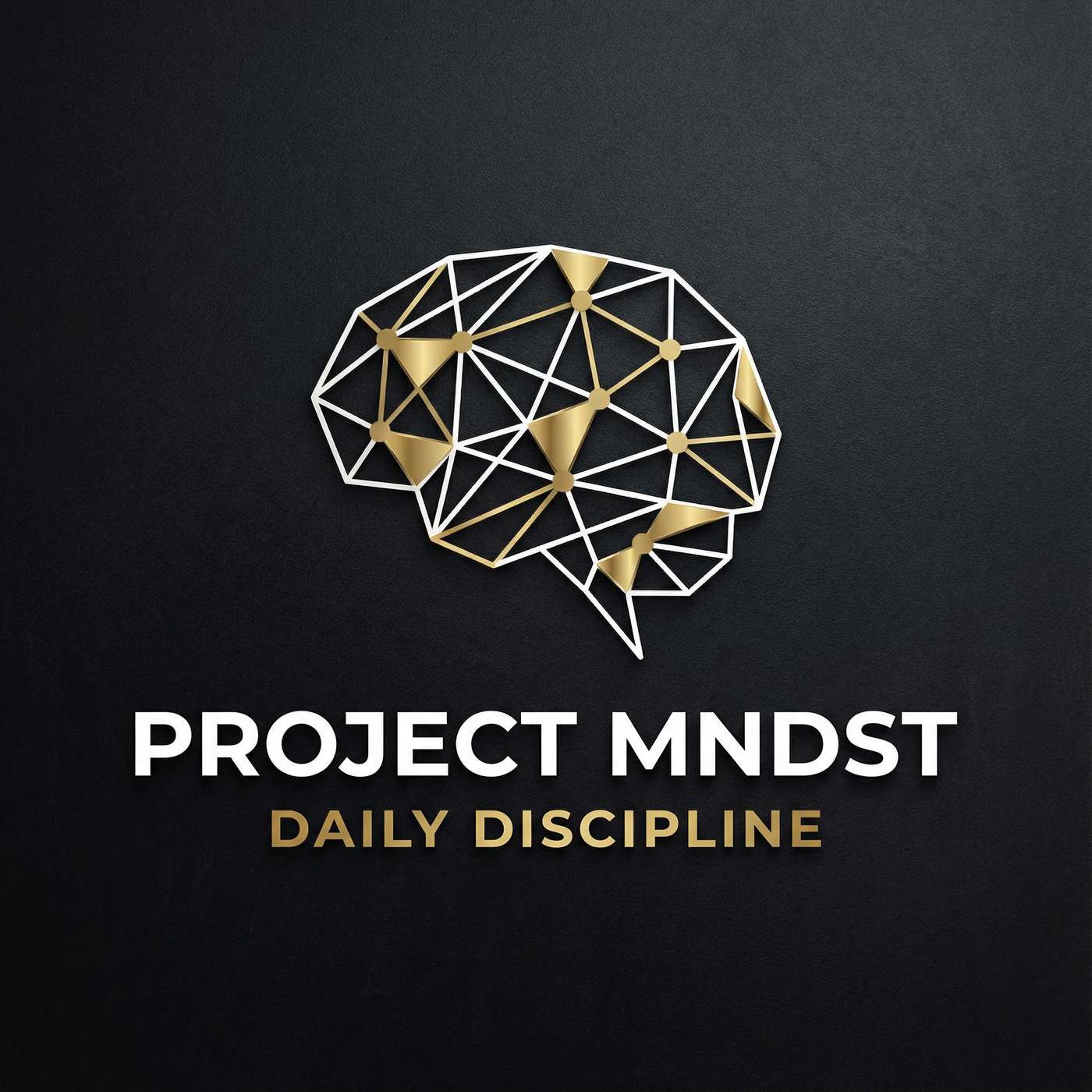 The Daily Discipline from Project MNDST