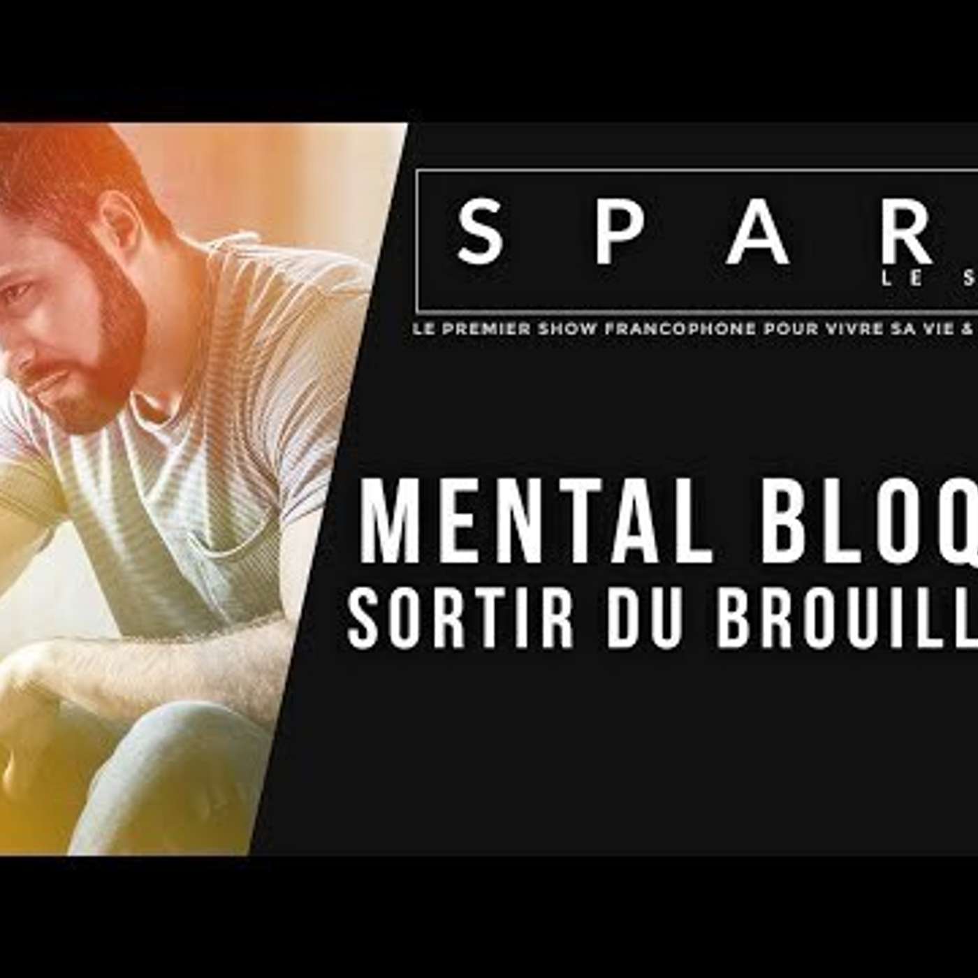 SPARK LE SHOW: Mental bloqué - sortir du brouillard episode artwork