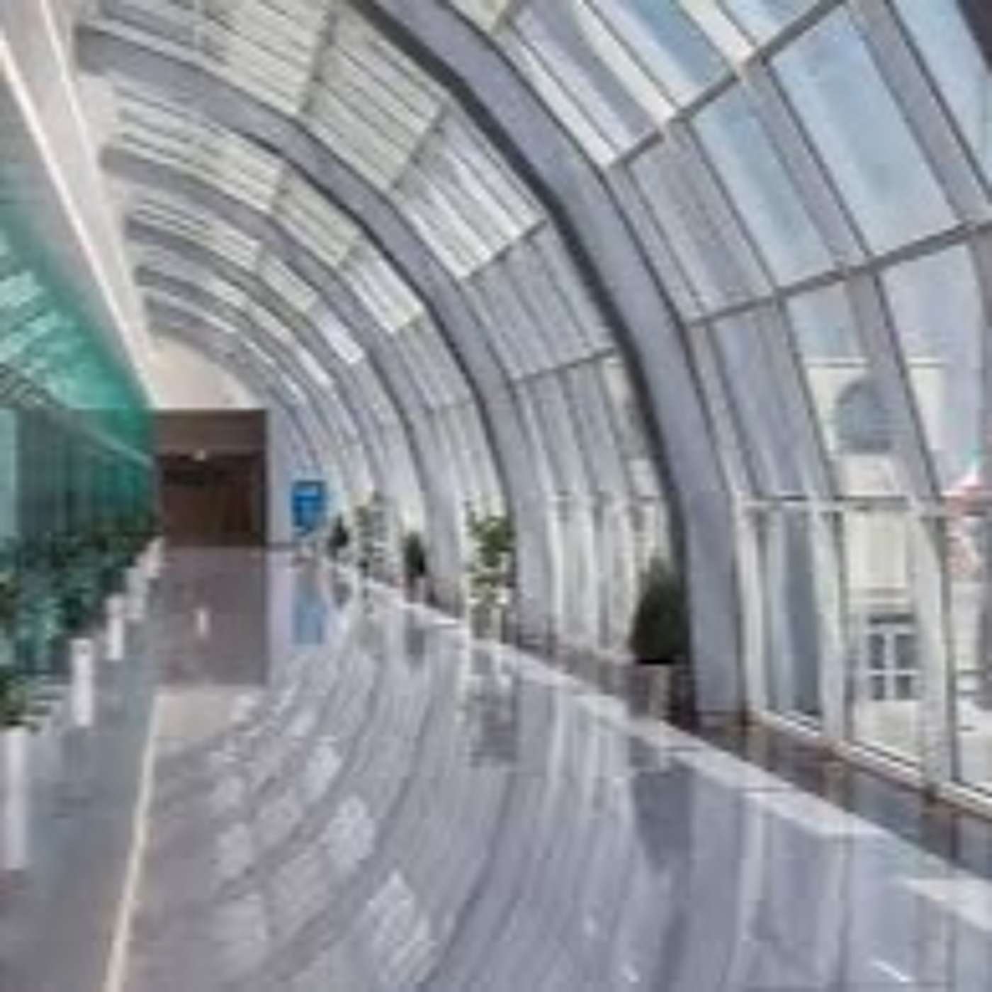 Sharjah Airport Eastern Expansion and Covid-19 Sniffer Dogs (15.10.20)