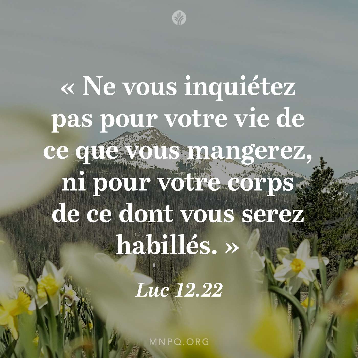 La belle création de Dieu