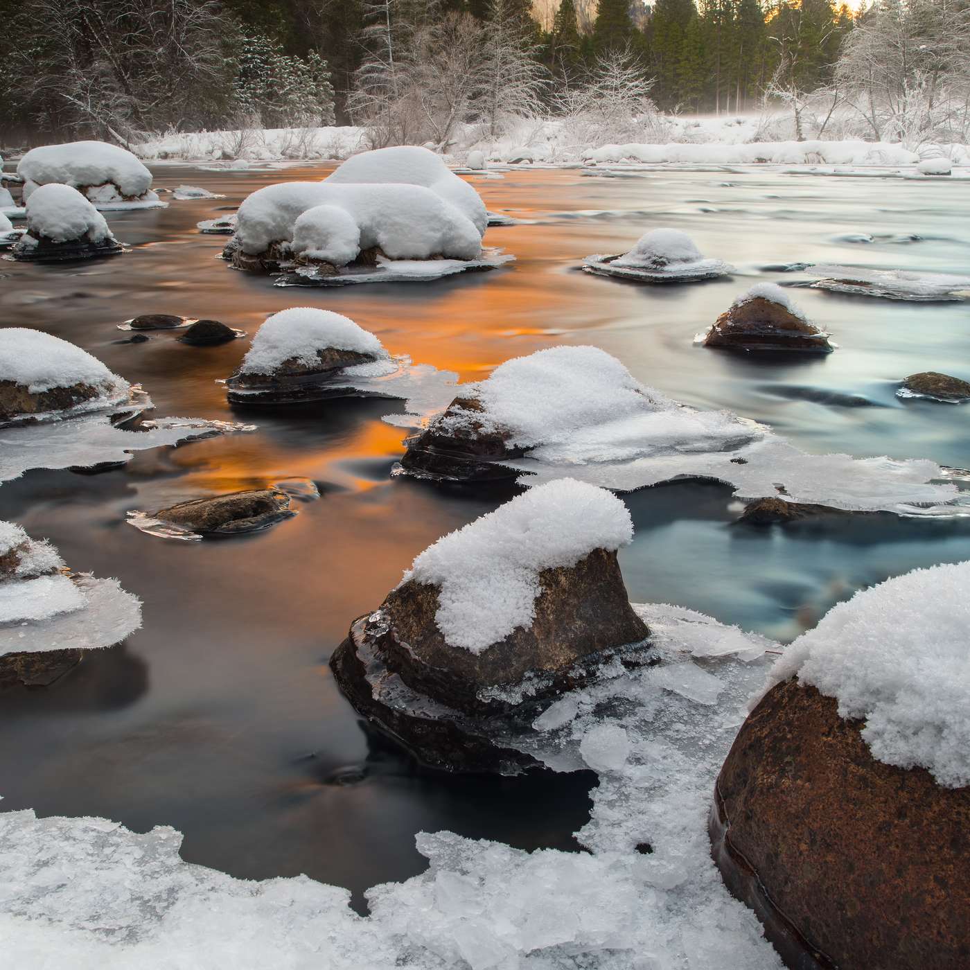 The Nature Photography Podcast