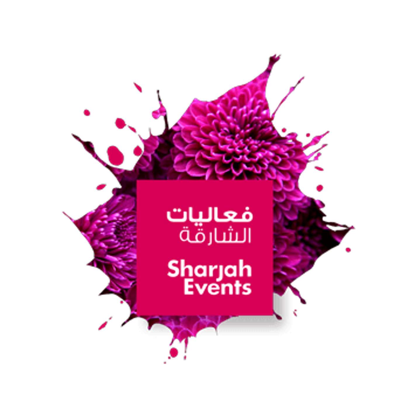 What To Expect From The Sharjah Events Festival 2024 (20/11/24)
