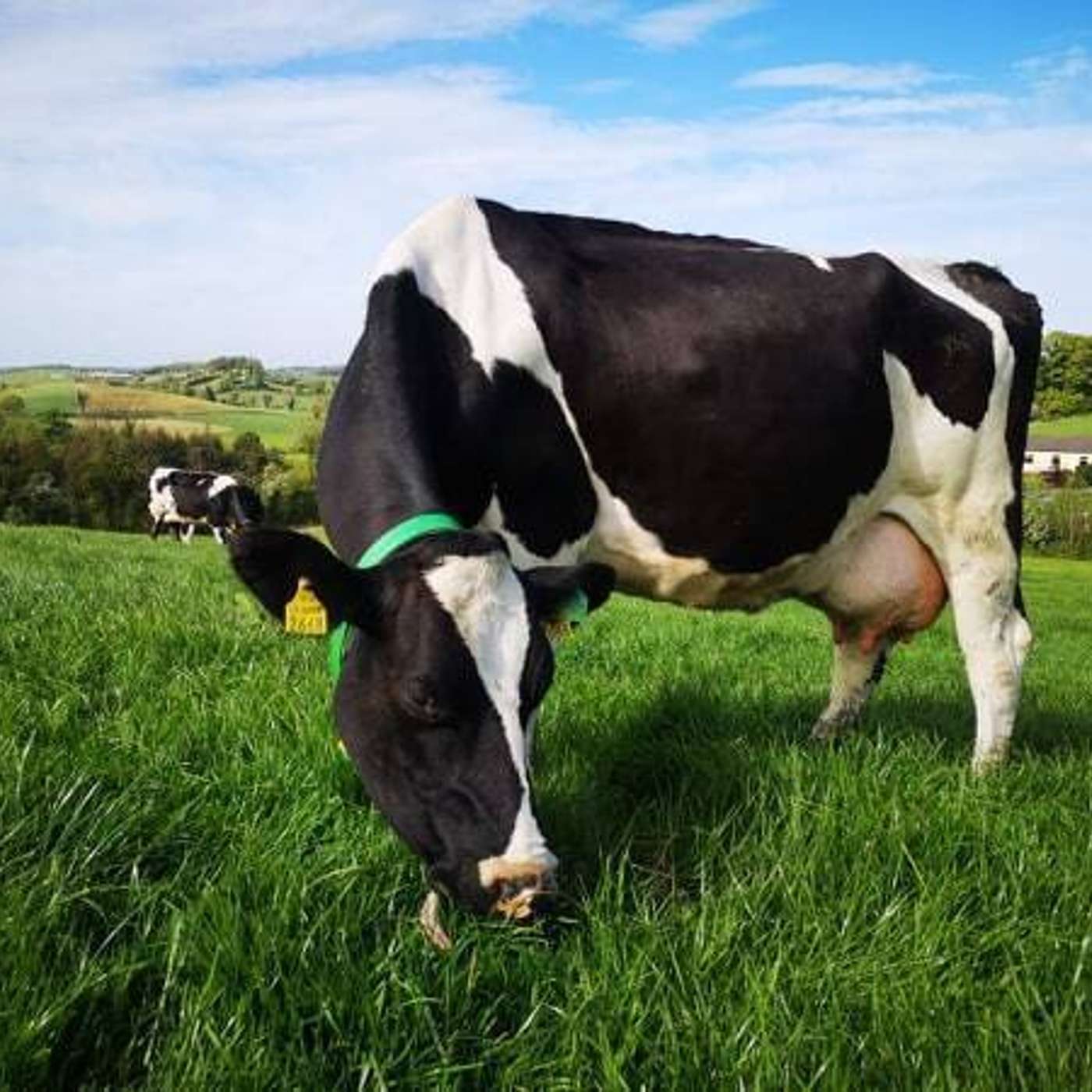 Protecting your farm income in 2022