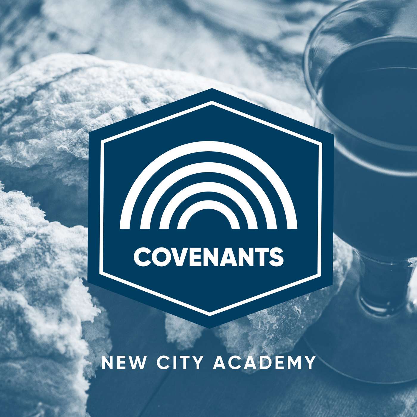 Covenants: God's Promises from Eden to the New Jerusalem