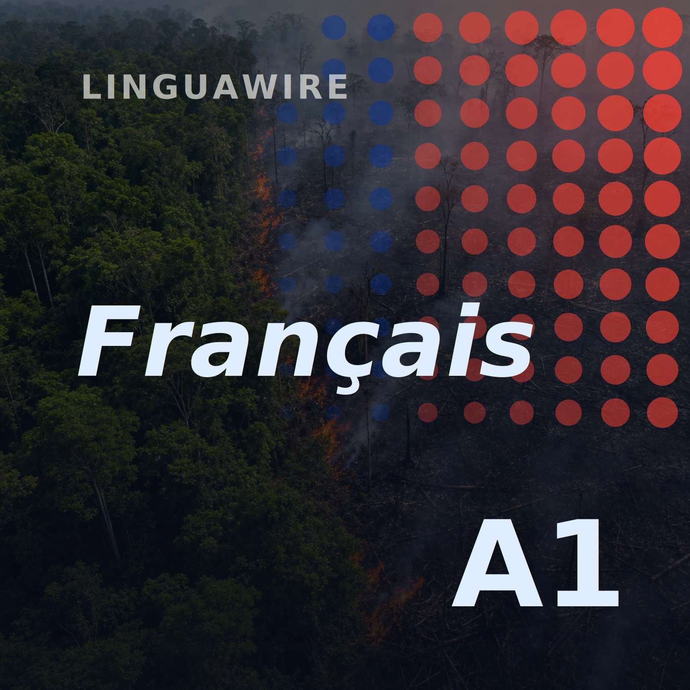 A1 French News | Brazil's Amazon Burns Far Less in 2025