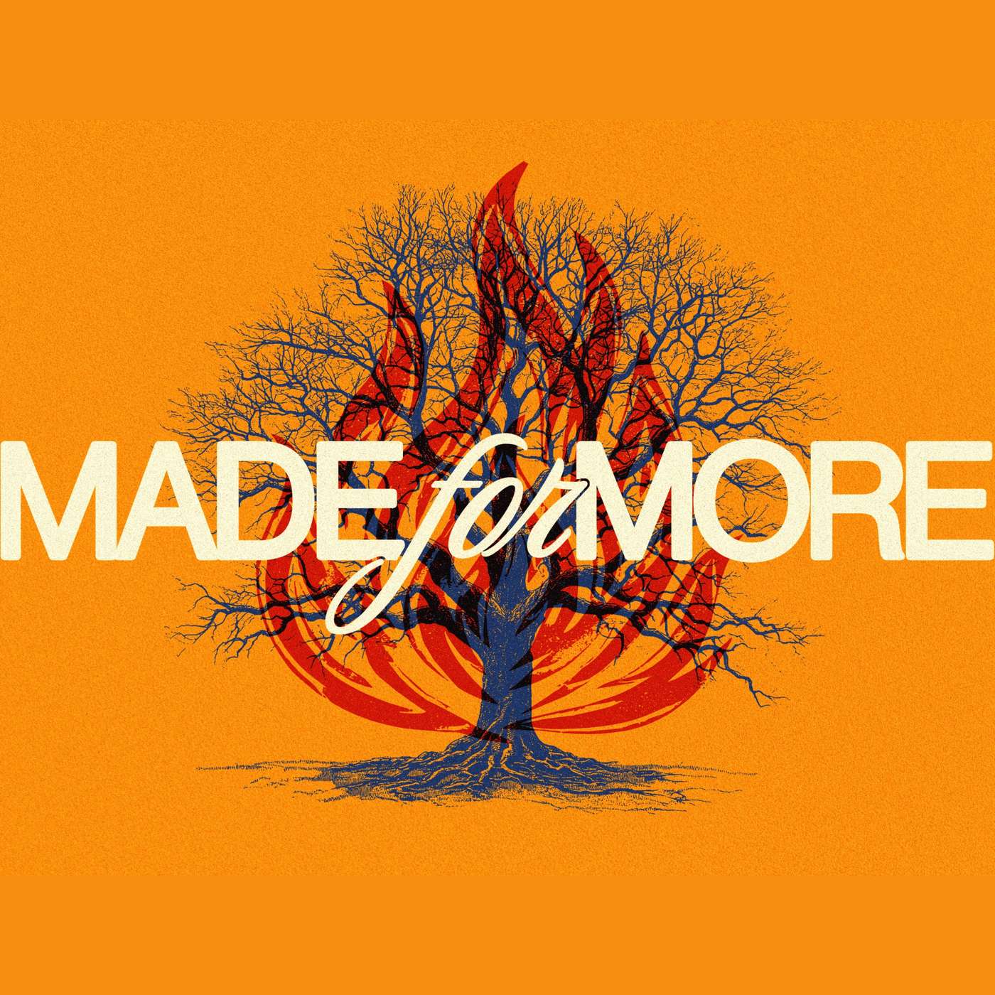 Made for More (Part 1): Discovering God's Purpose—Ron Baum
