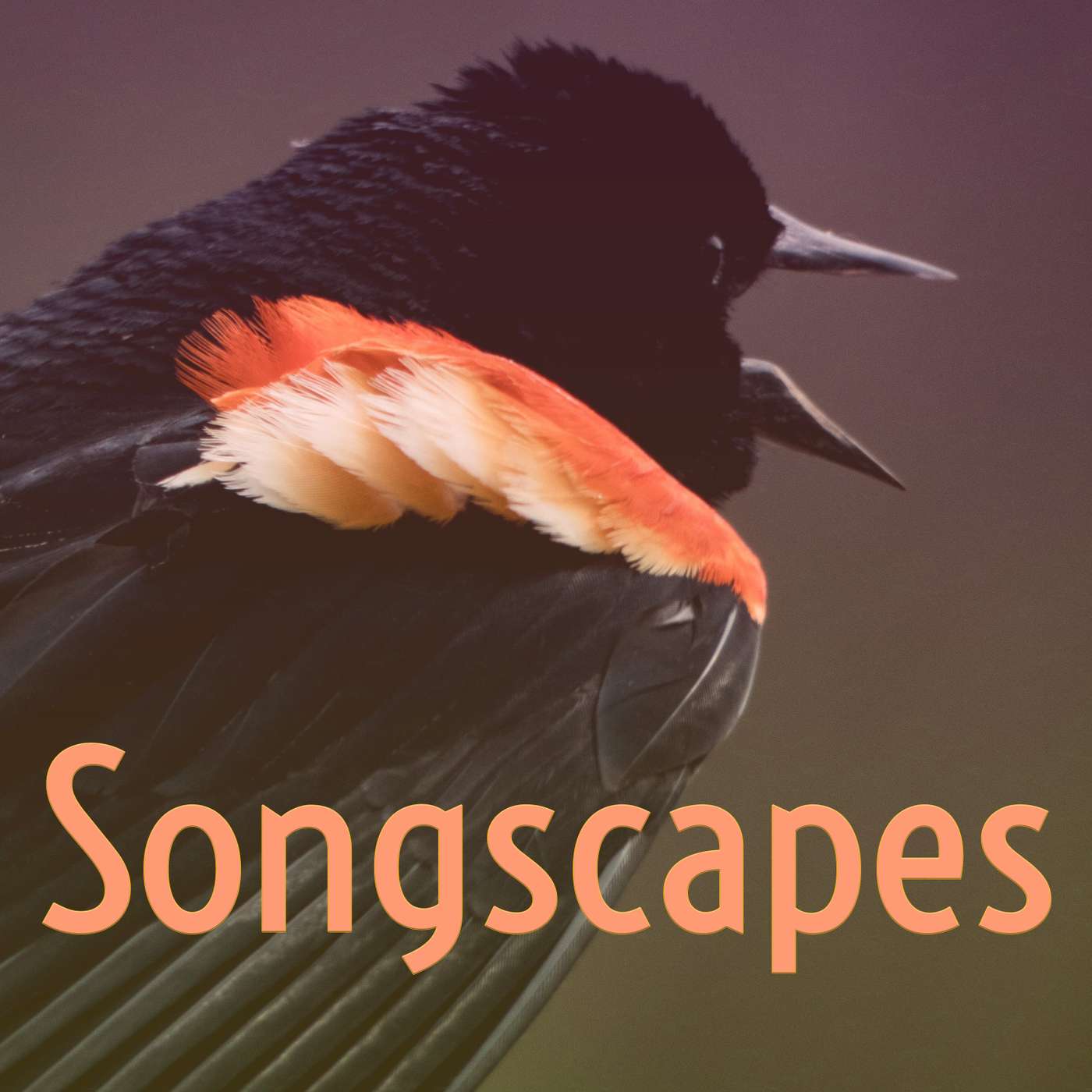 Songscapes
