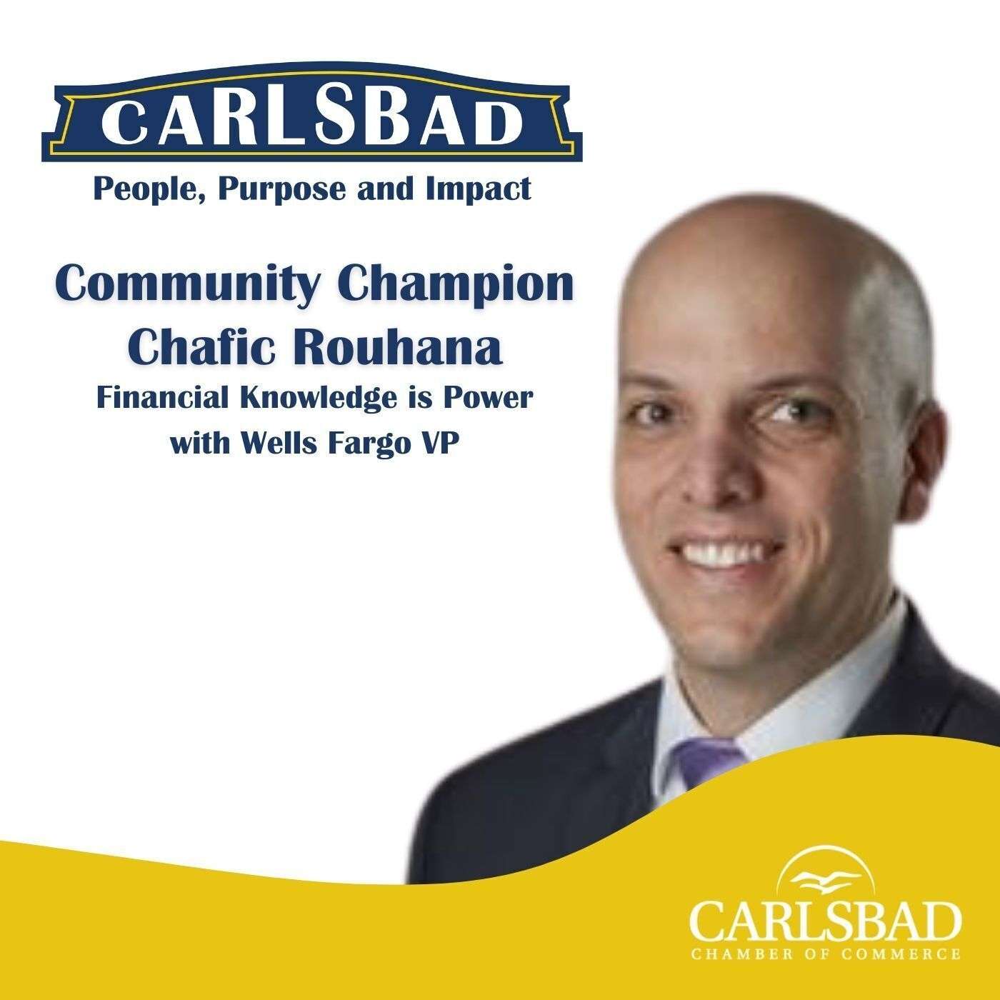 Ep. 16 Financial Knowledge is Power with Wells Fargo VP, Chafic Rouhana episode artwork