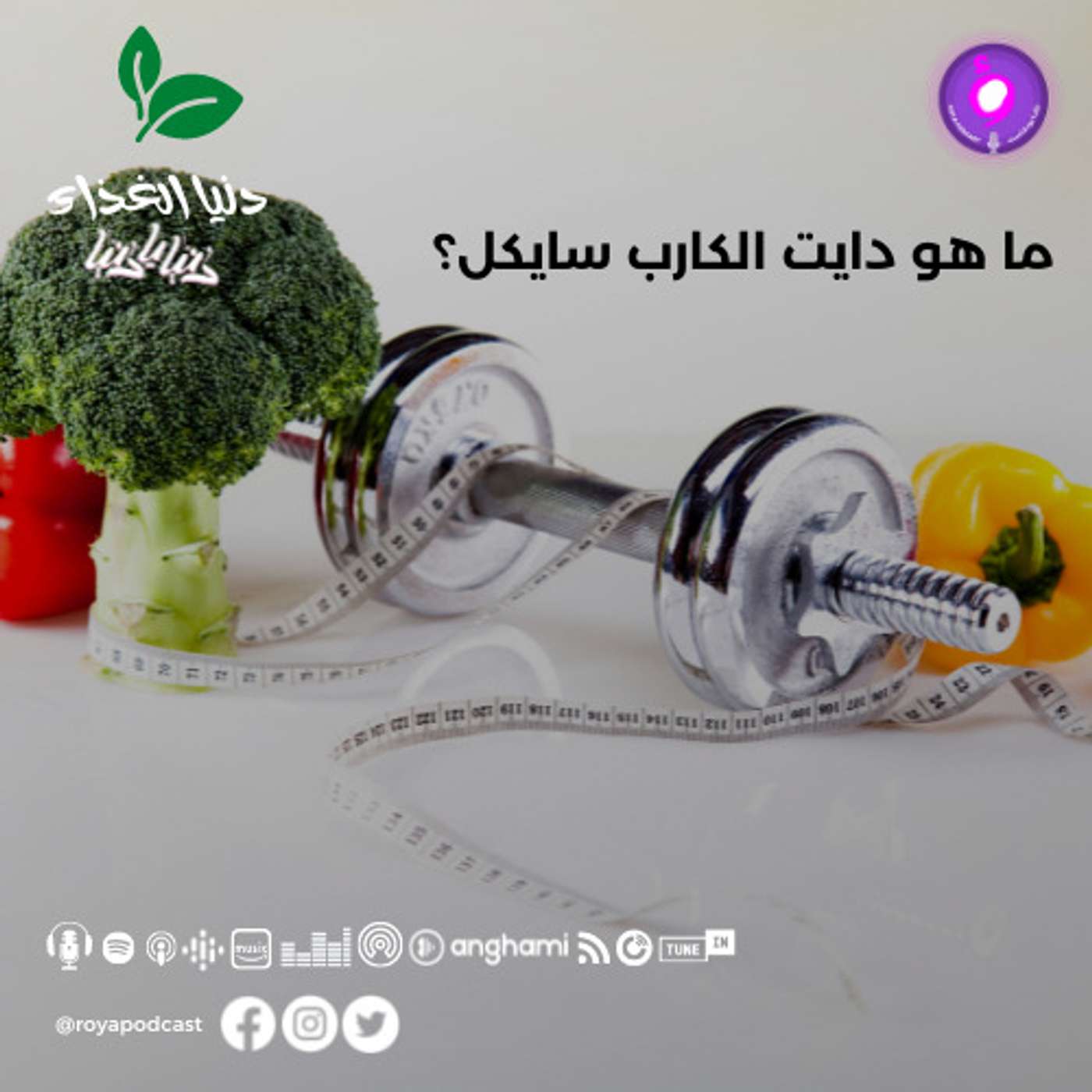 ما هو دايت الكارب سايكل؟