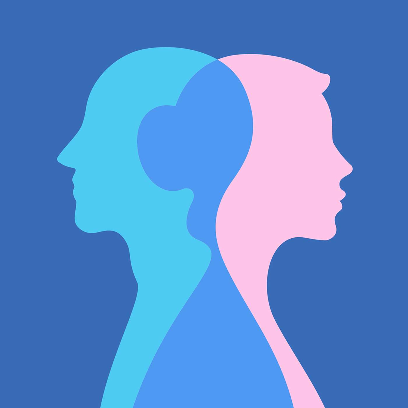 The Gender Divide: Marriage Under Attack episode artwork