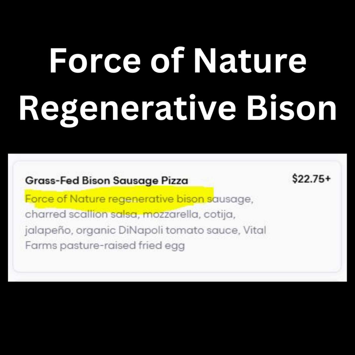 Day 102 - Force of Nature Regenerative Bison episode artwork