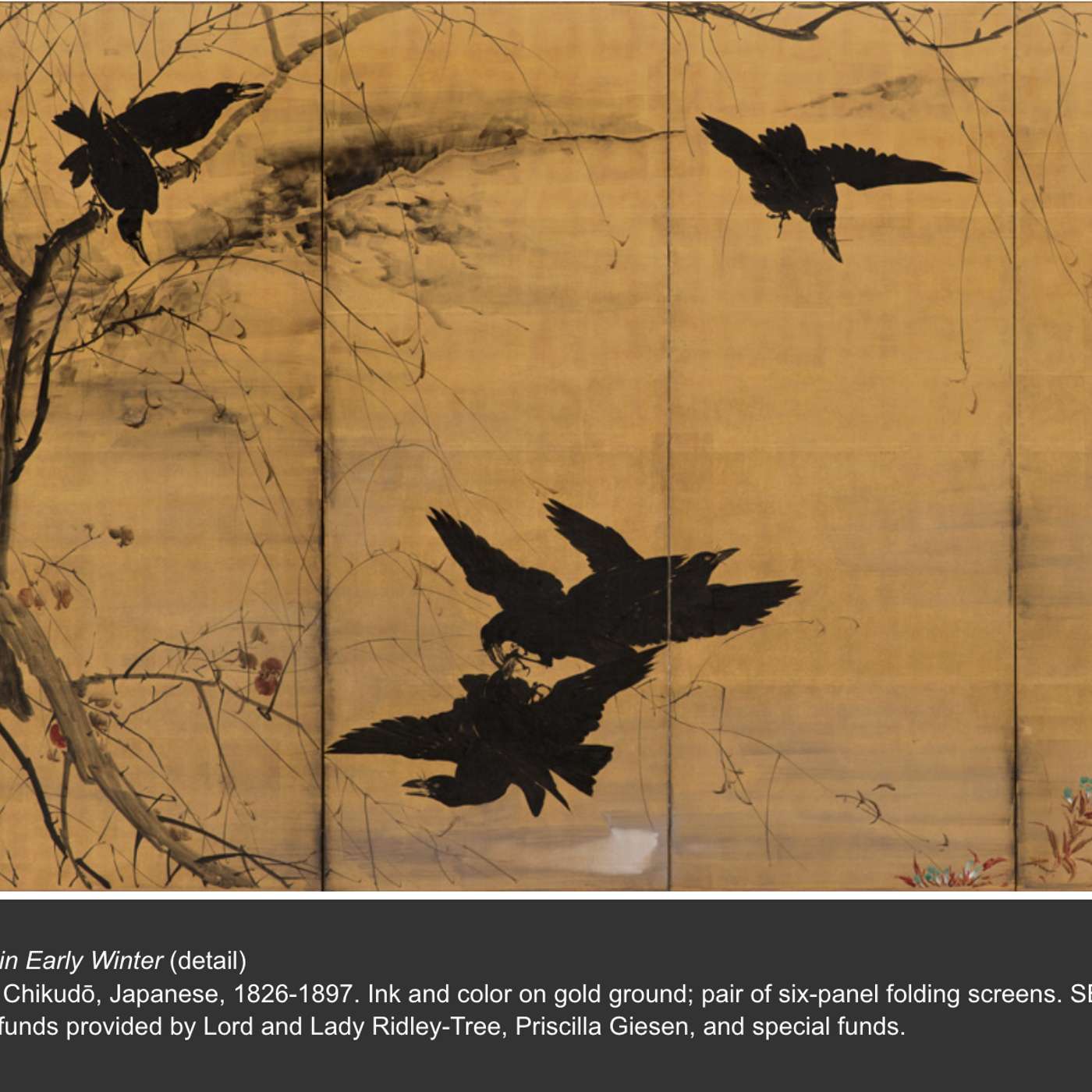 5a: Crows