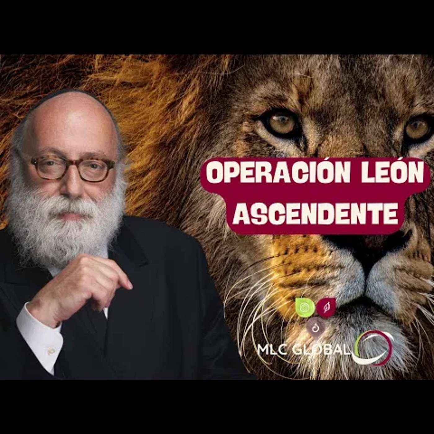 Operation Rising Lion