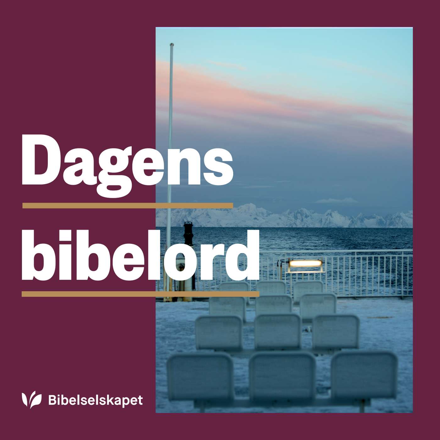 Dagens bibelord fra bibel.no