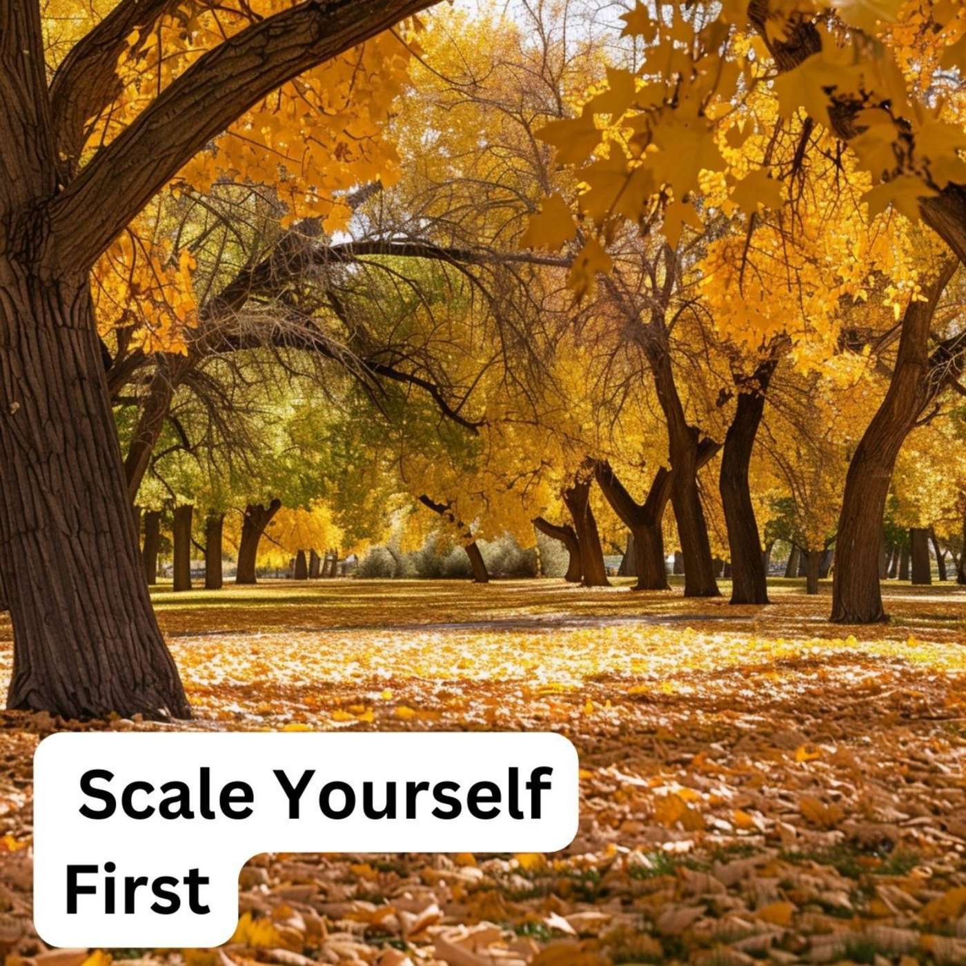 Day 189 - Scale Yourself First episode artwork