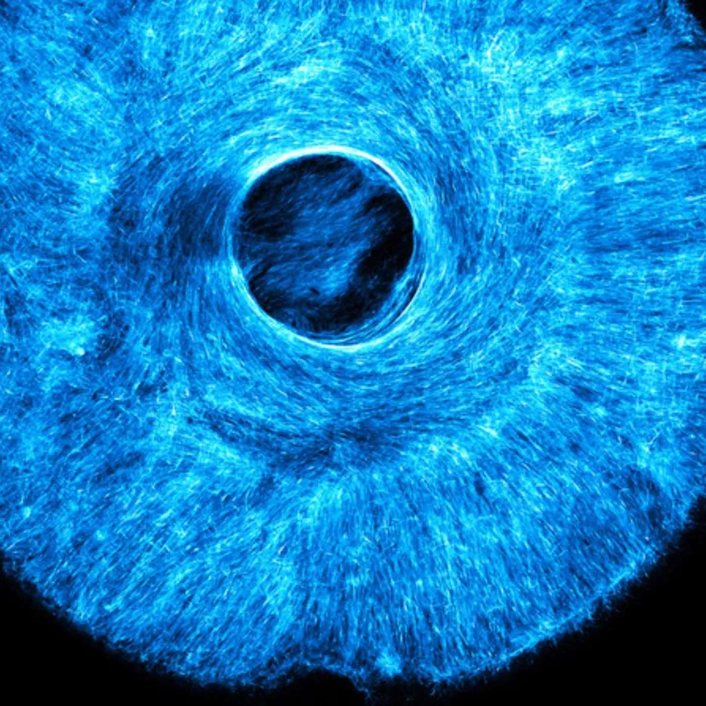 MIT Introduces Lab-Grown Muscles, Sevelamer Battles Antibiotic Resistance, Breakthrough SAVI Treatment Found, Alga's Discovery Promises Fertilizer-Free Crops, and more...